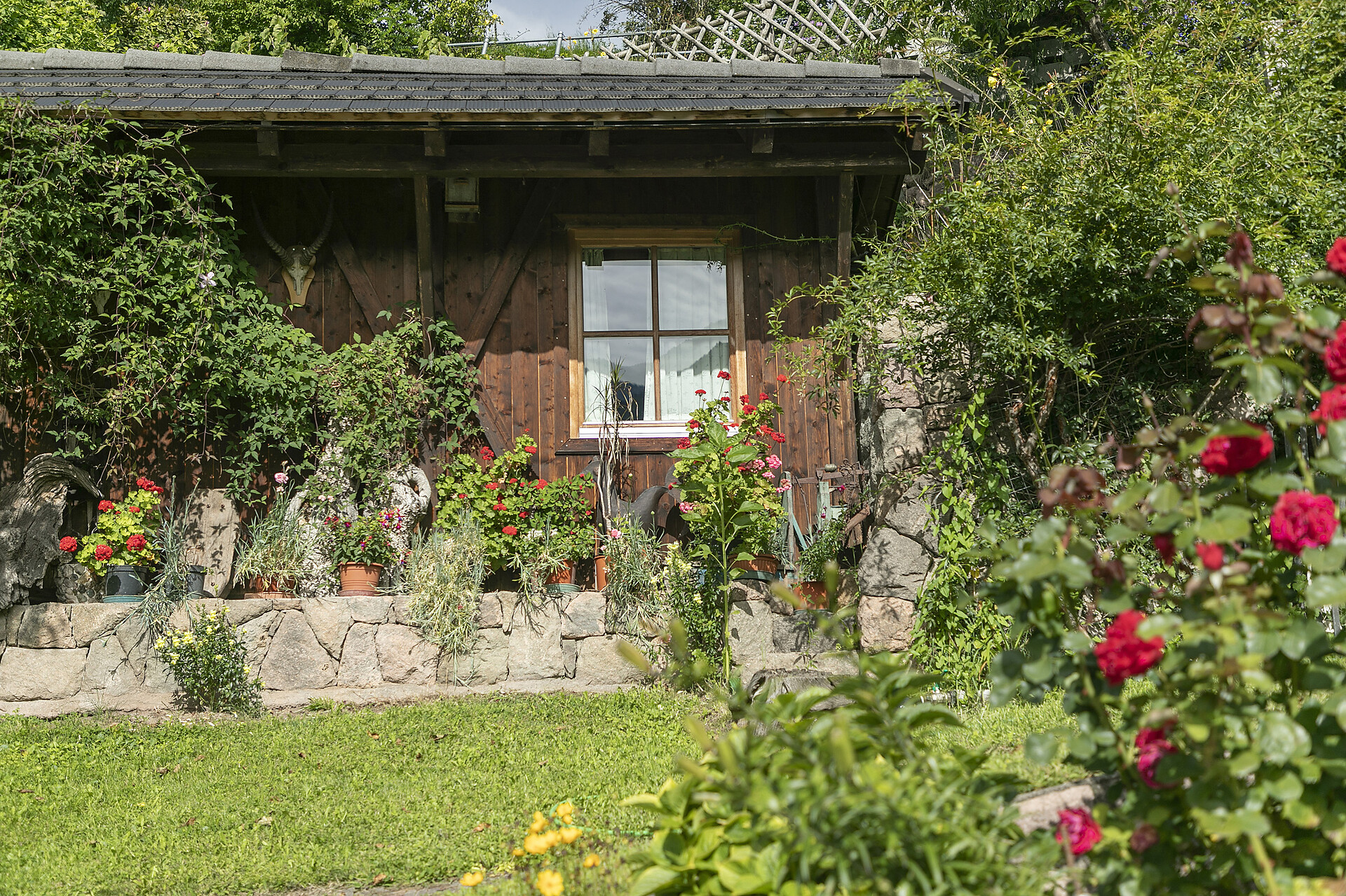 Völkl Ritten