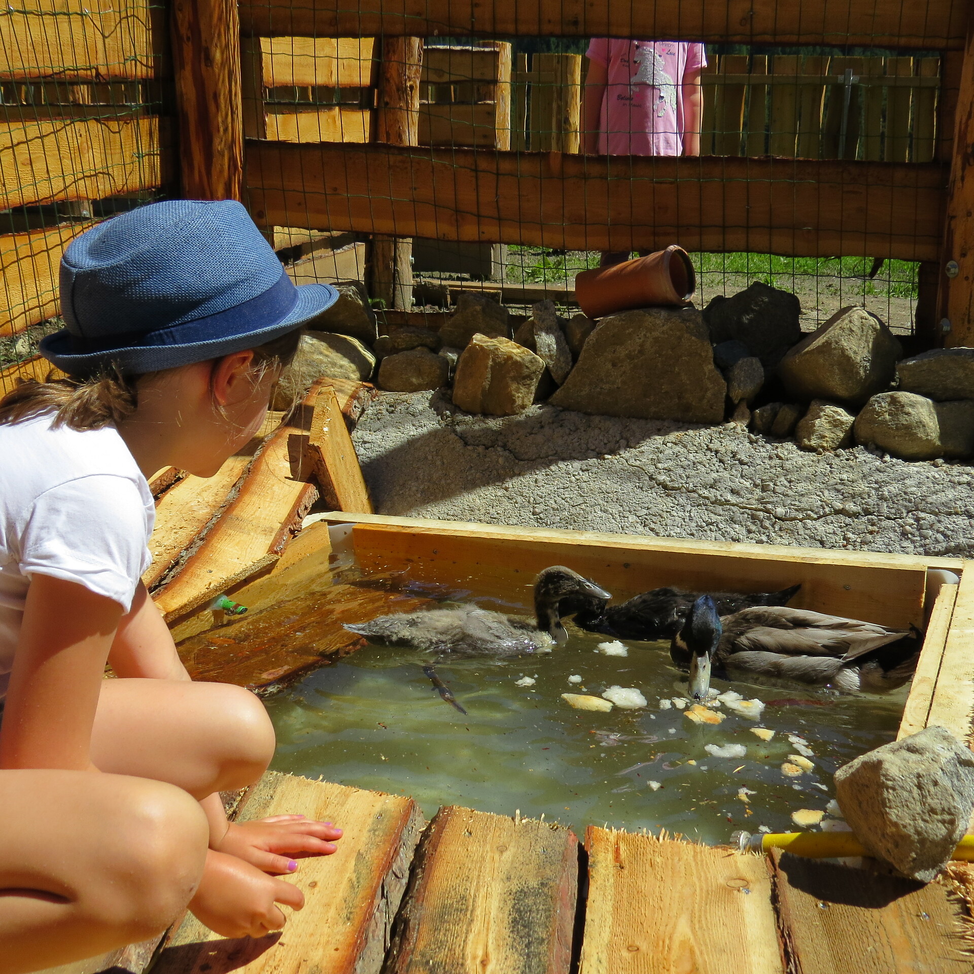 Tiere füttern auf dem Voppichlhof