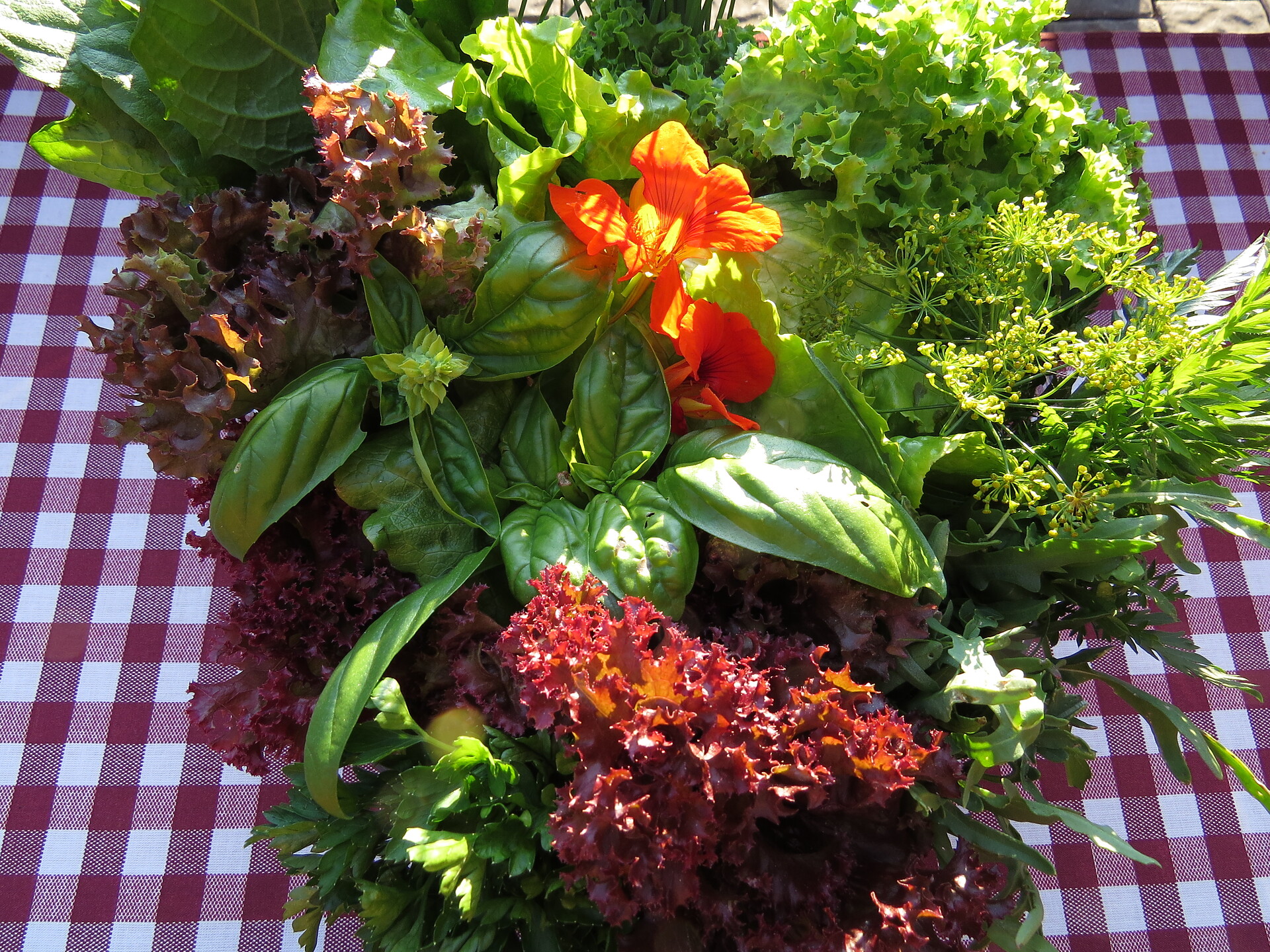 Frische Milch und Biogemüse vom Garten