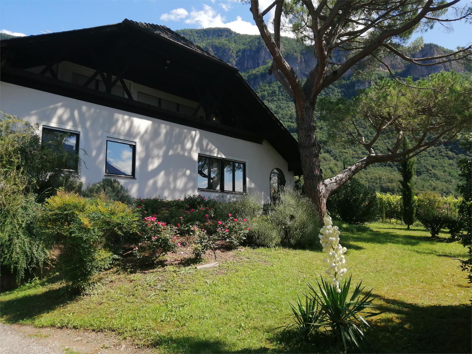 Villa Pinie Terlano 1 suedtirol.info