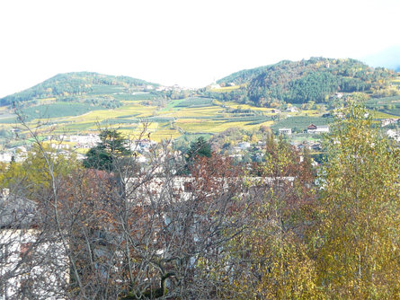 Villa Rifesser Brixen/Bressanone 18 suedtirol.info