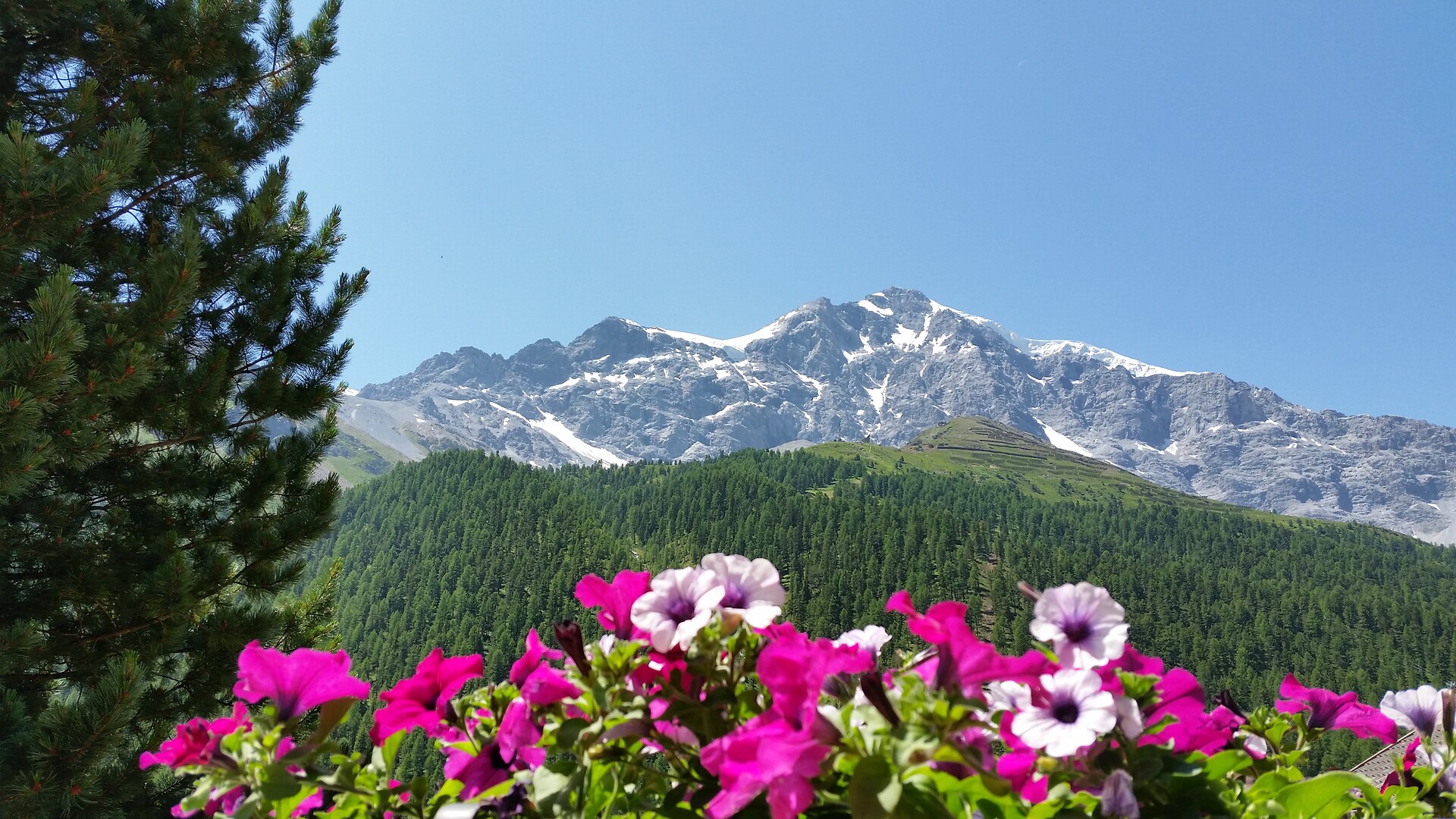 vista panoramica dal terazzo della casa