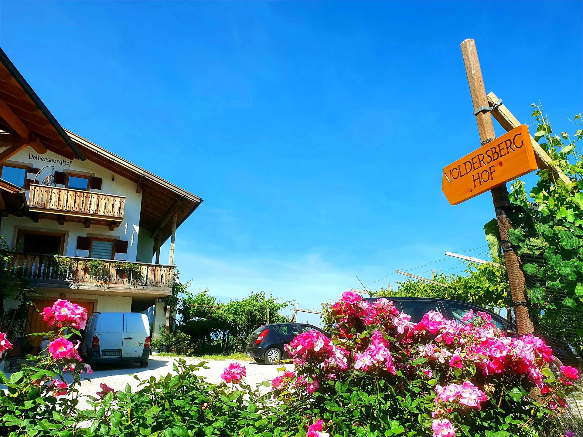 Voldersberghof Cortaccia sulla Strada del Vino 1 suedtirol.info