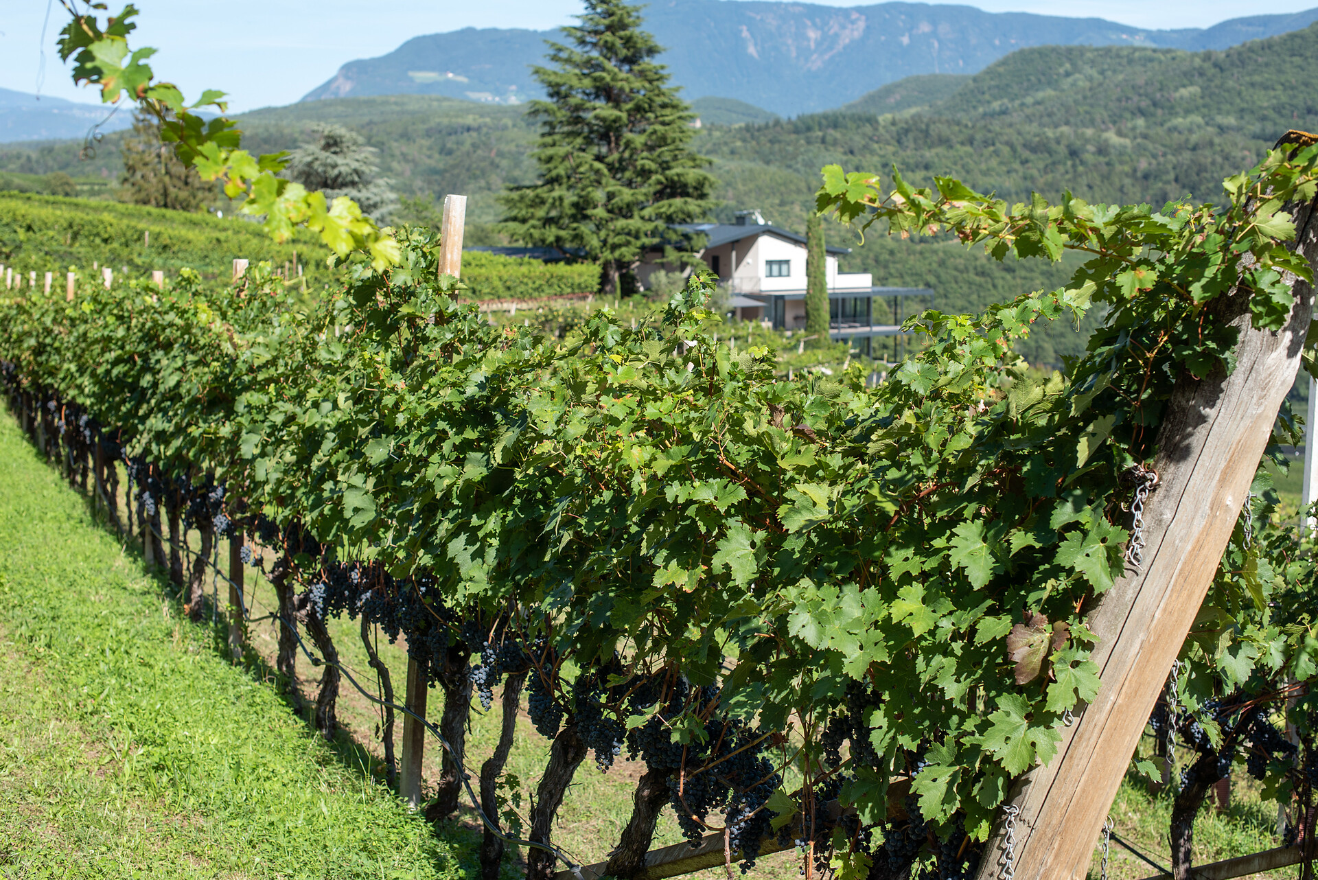 Villa Barleit - Alto Adige Wine Road - #26 - suedtirol.info