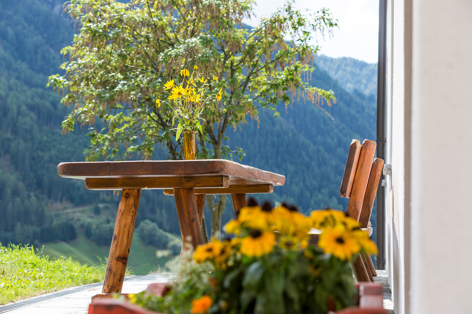 Vorderstammerhof Gsies 7 suedtirol.info
