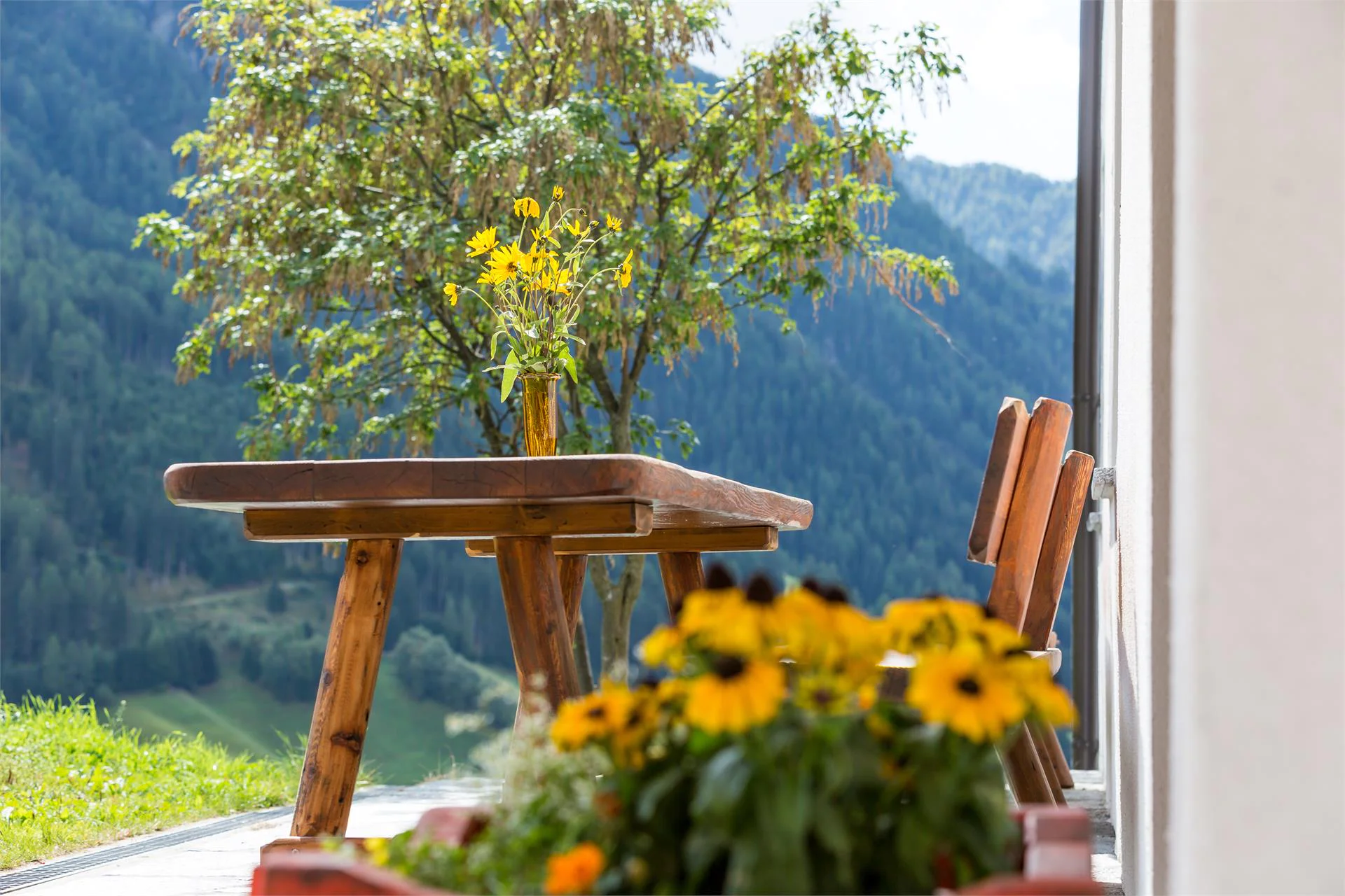 Vorderstammerhof Valle di Casies 7 suedtirol.info