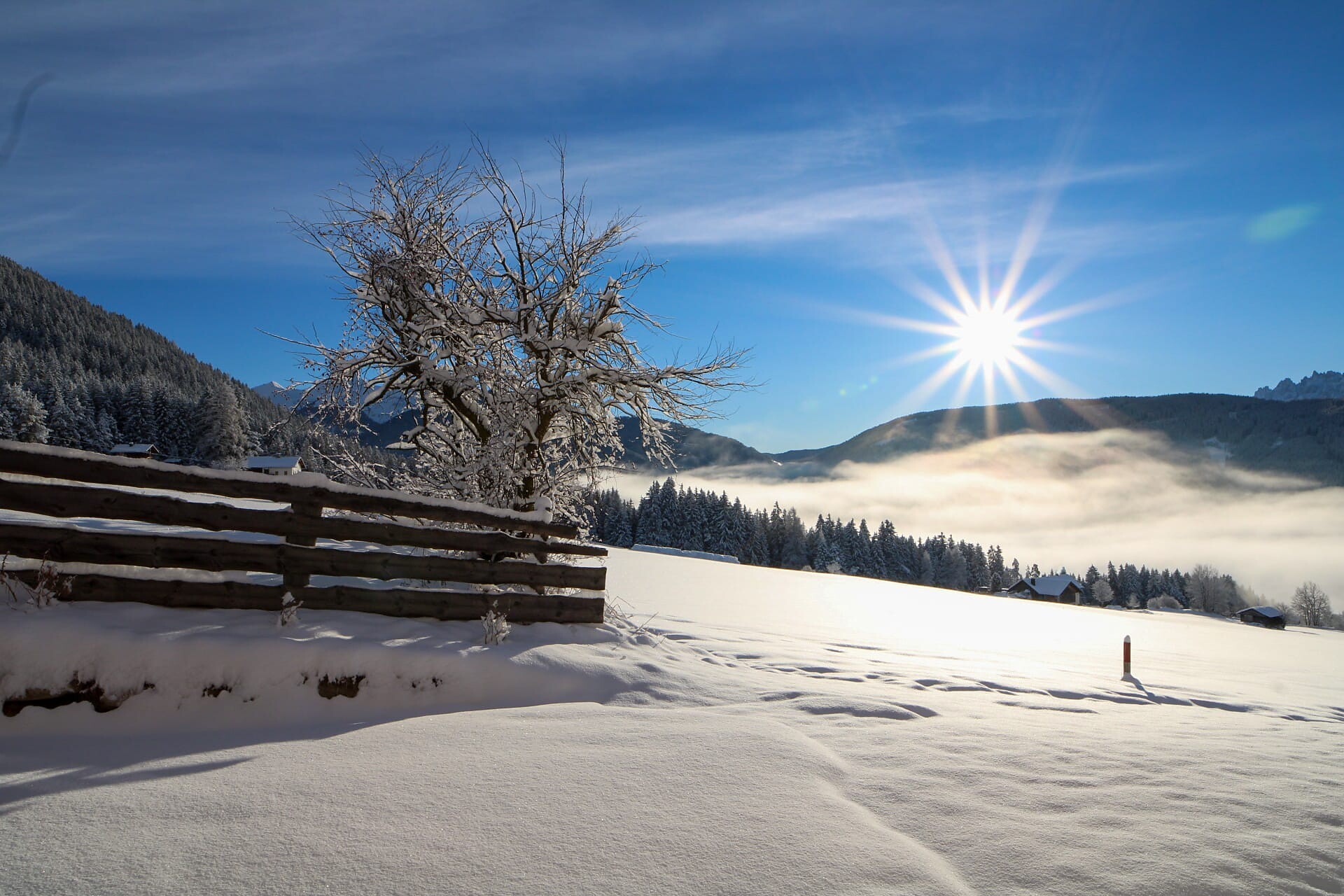 Winter picture