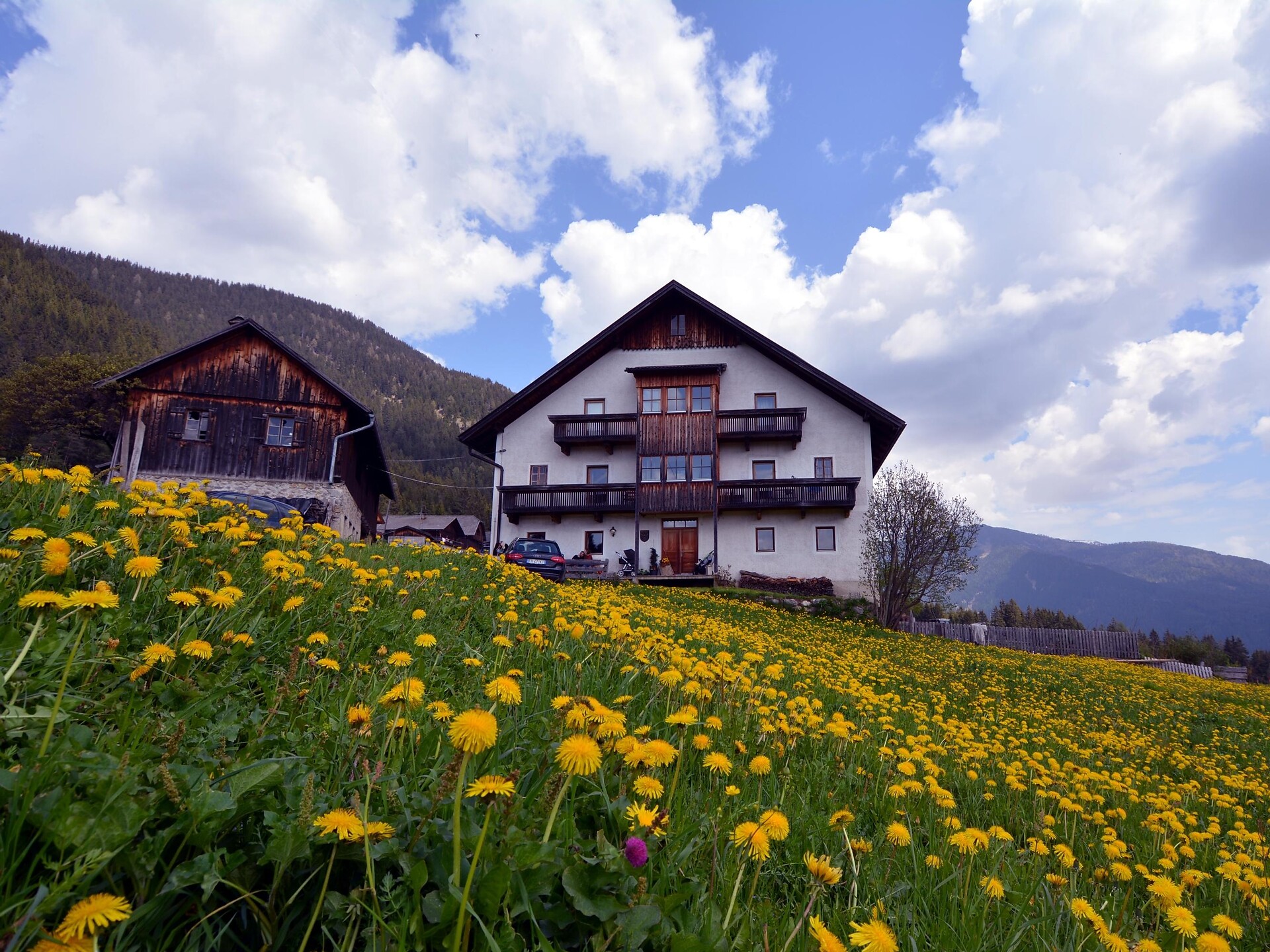 Veiderhof
