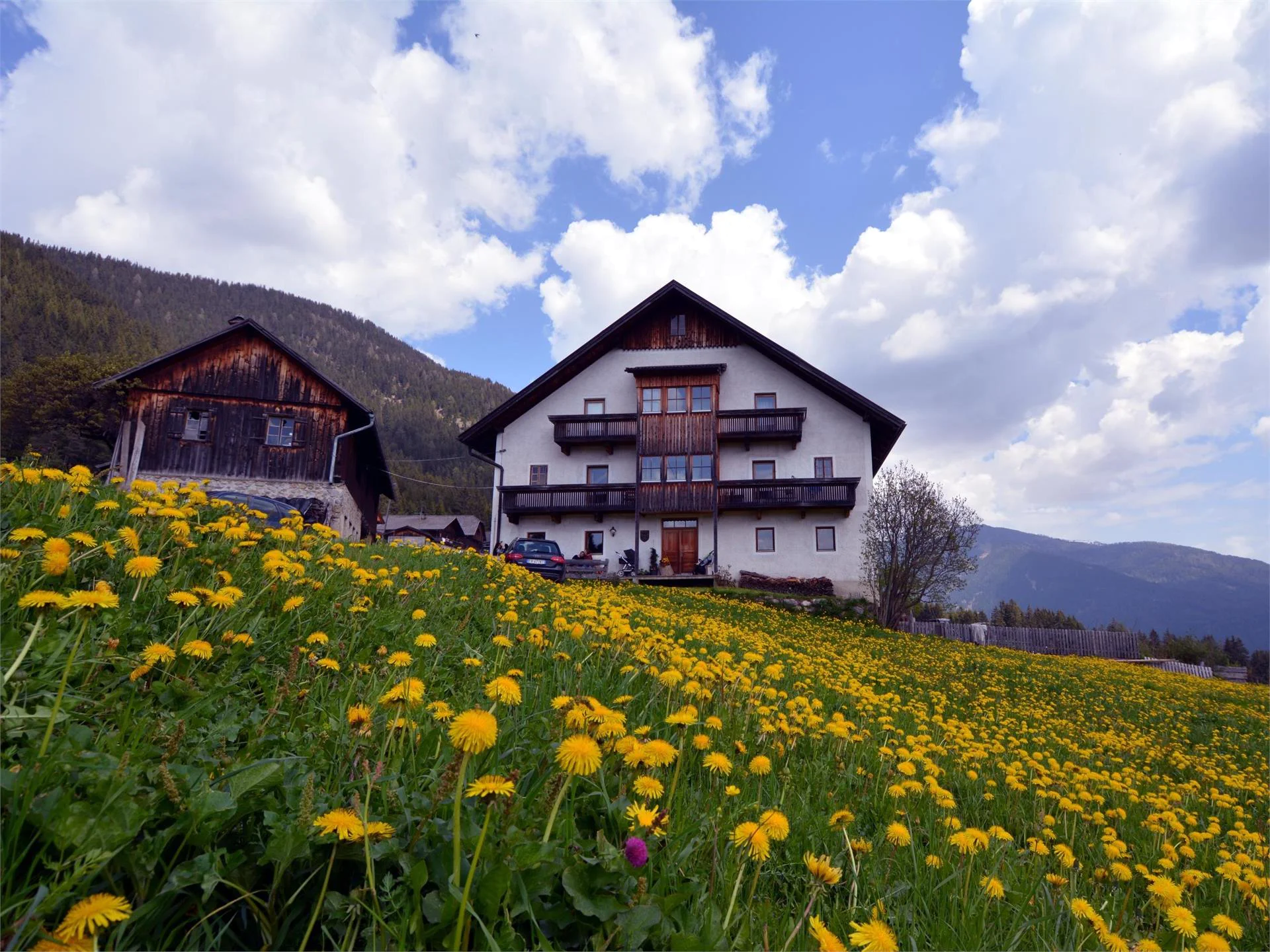 Veiderhof - Niedersten Valle di Casies 1 suedtirol.info