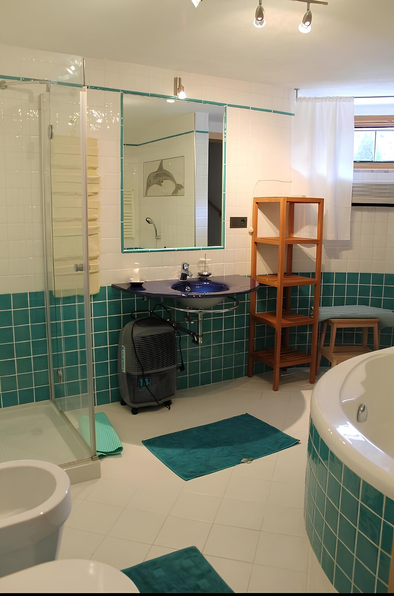 Bagno con doccia e vasca
