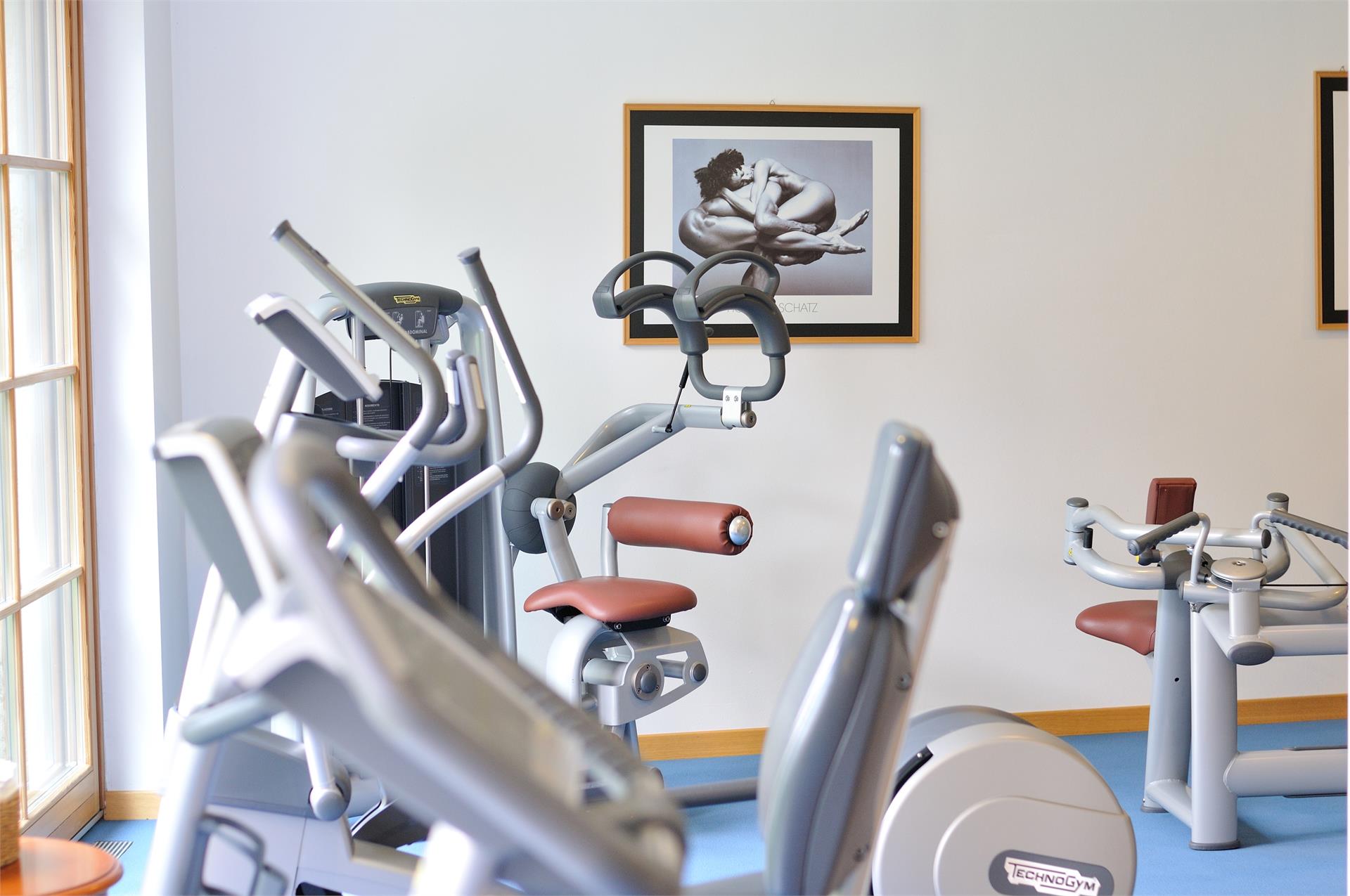 Vitalhotel Dosses S.Crestina Gherdëina/Santa Cristina Val Gardana 12 suedtirol.info