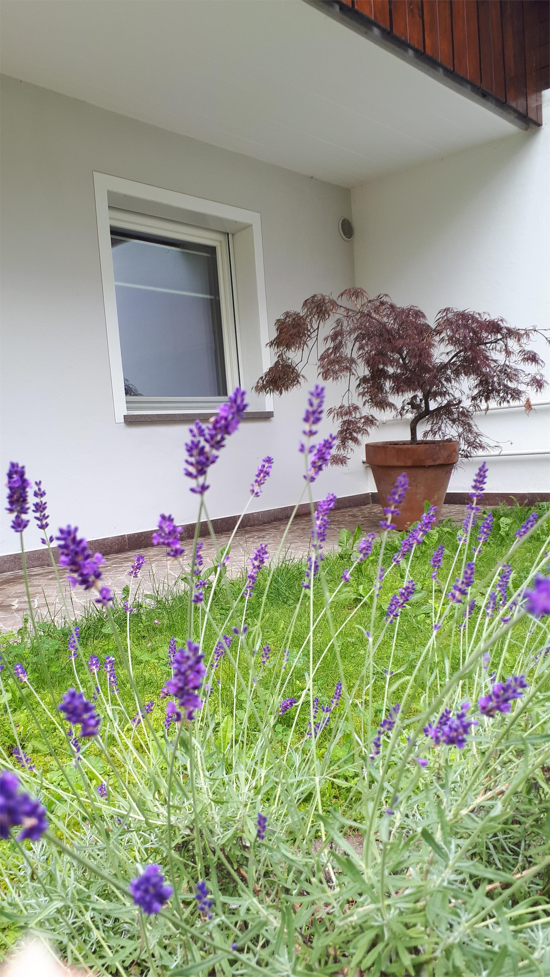 Villa Luna Kastelruth 3 suedtirol.info