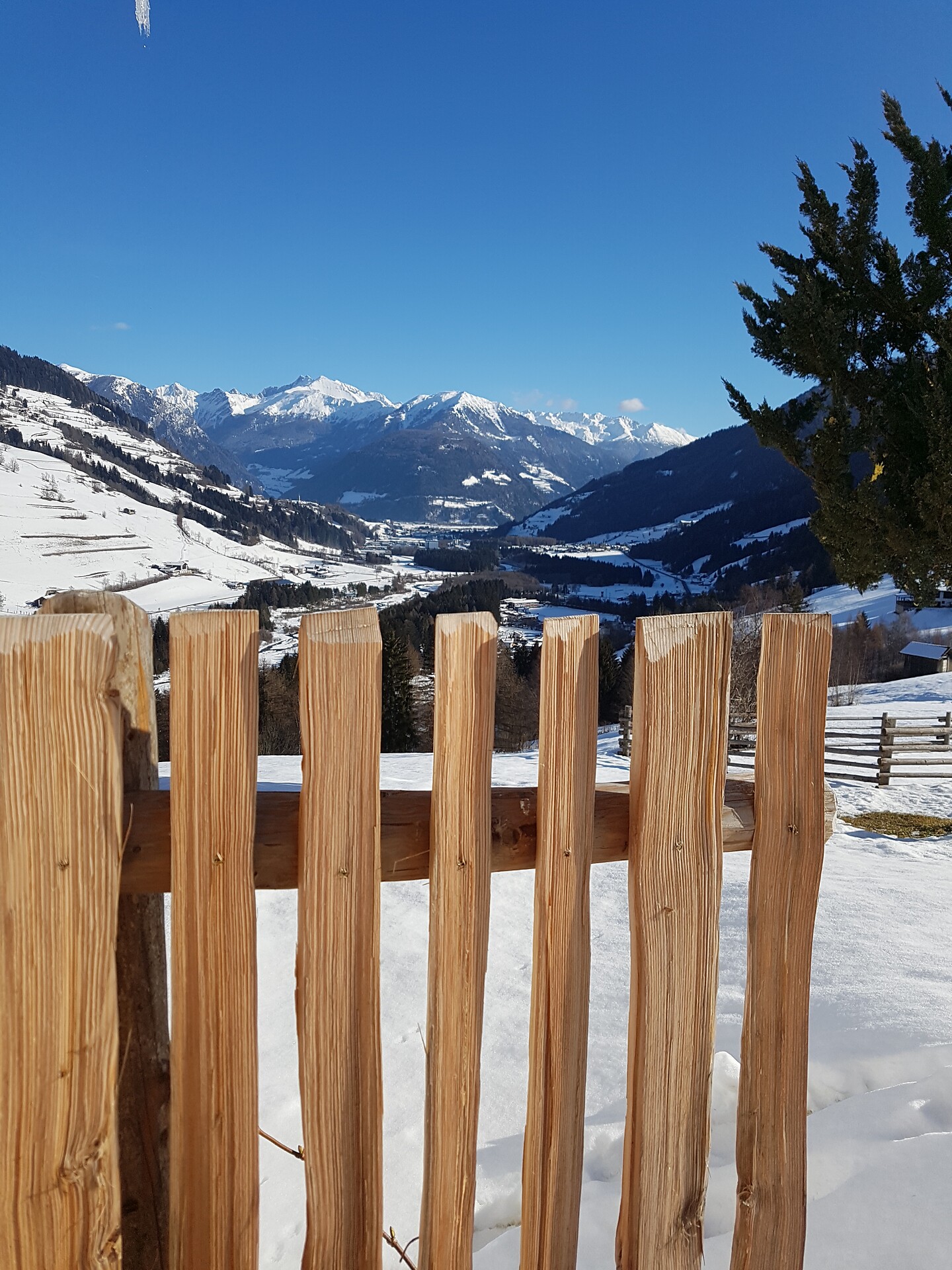 Ausblick im Winter