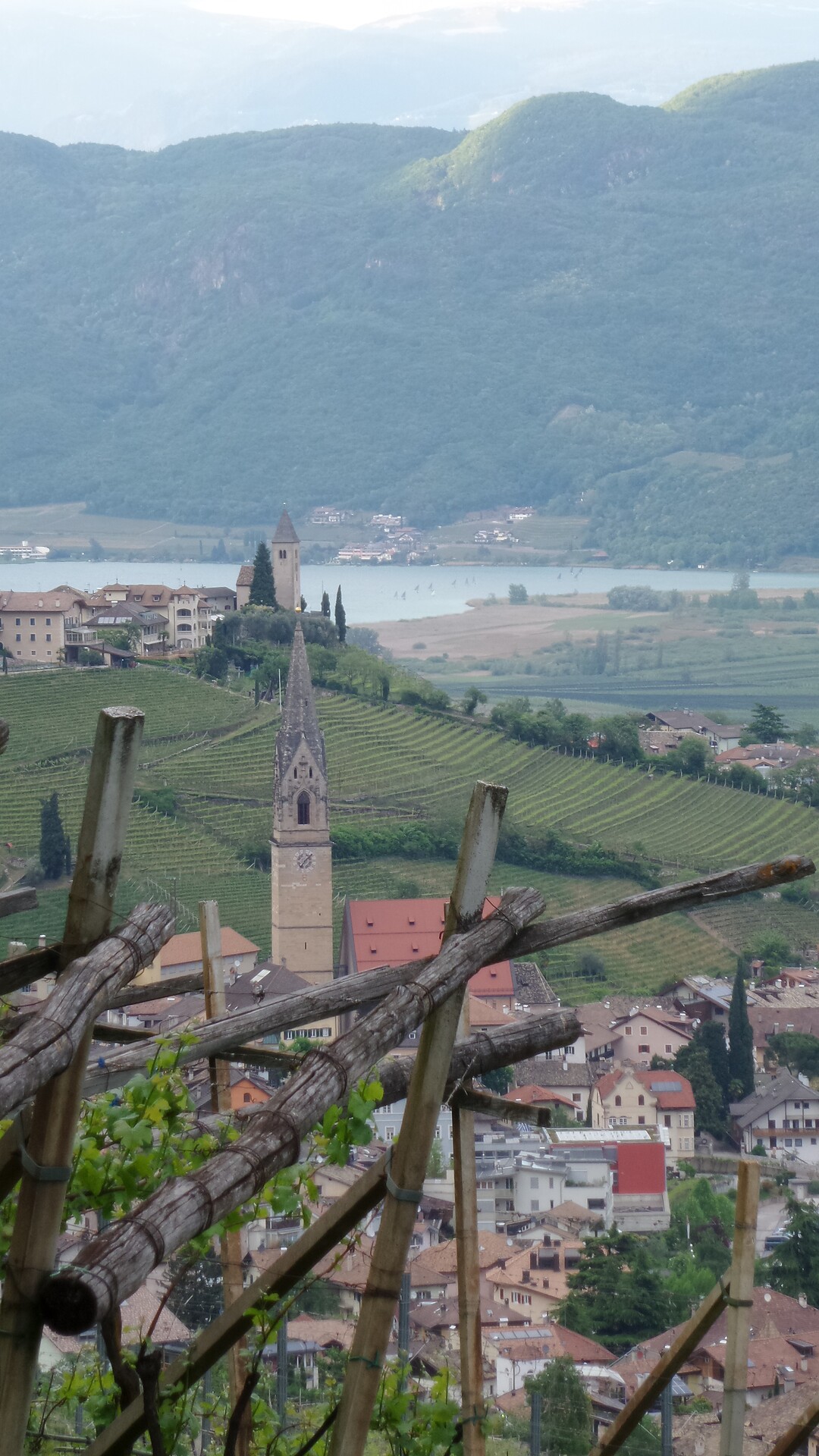 Tramin