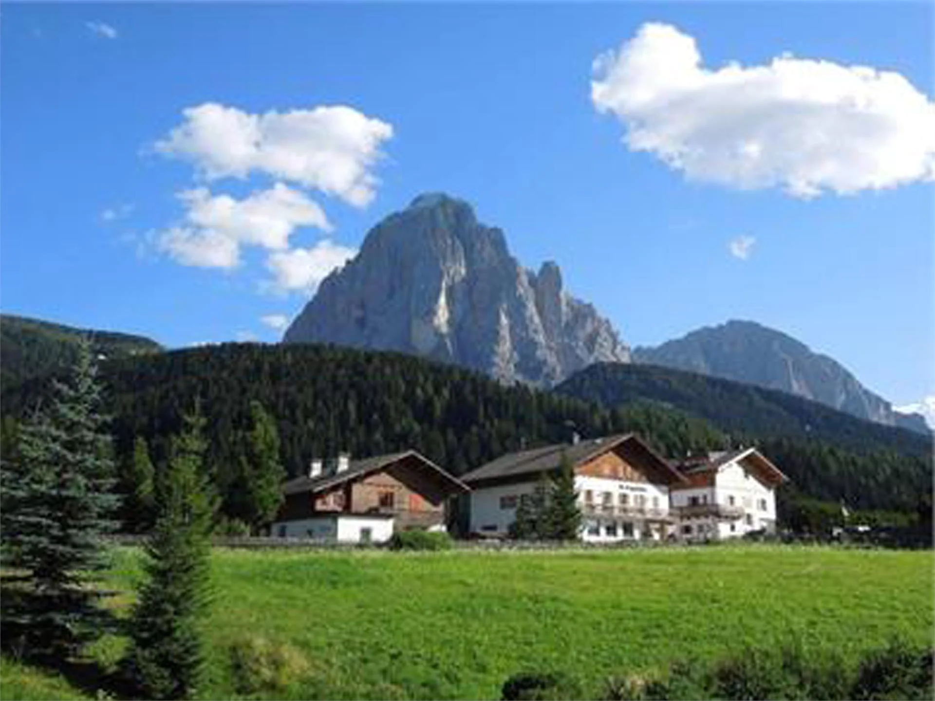Villa Capriolo Selva 1 suedtirol.info