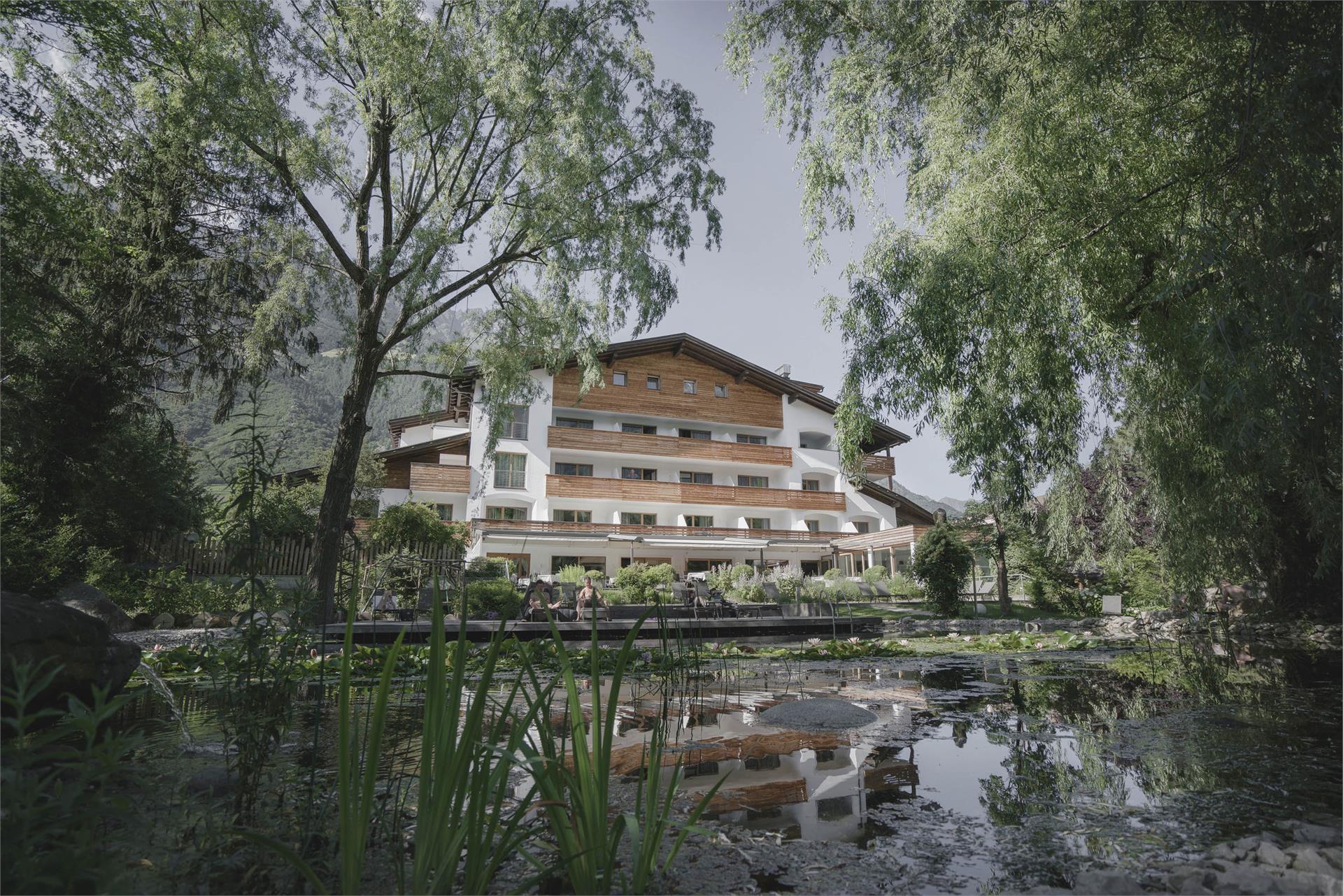 Vegan Hotel LA VIMEA Naturns 2 suedtirol.info