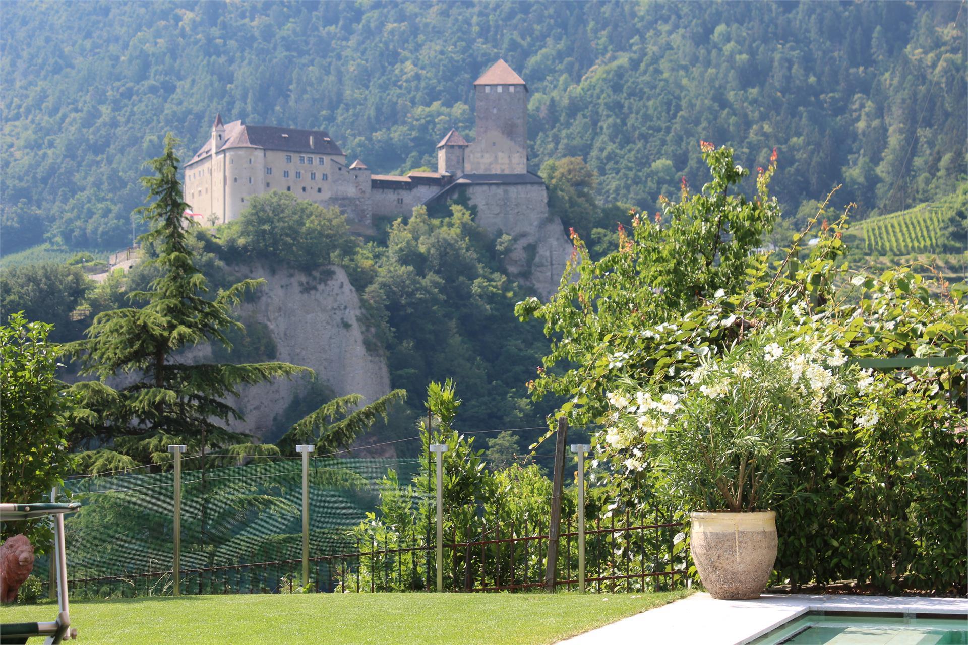 Villa Falkner Tirolo 1 suedtirol.info