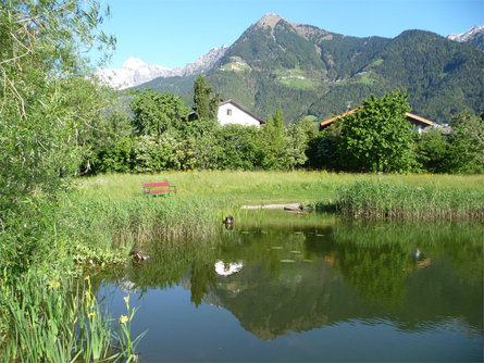 Villa Ladurner Tirol/Tirolo 21 suedtirol.info