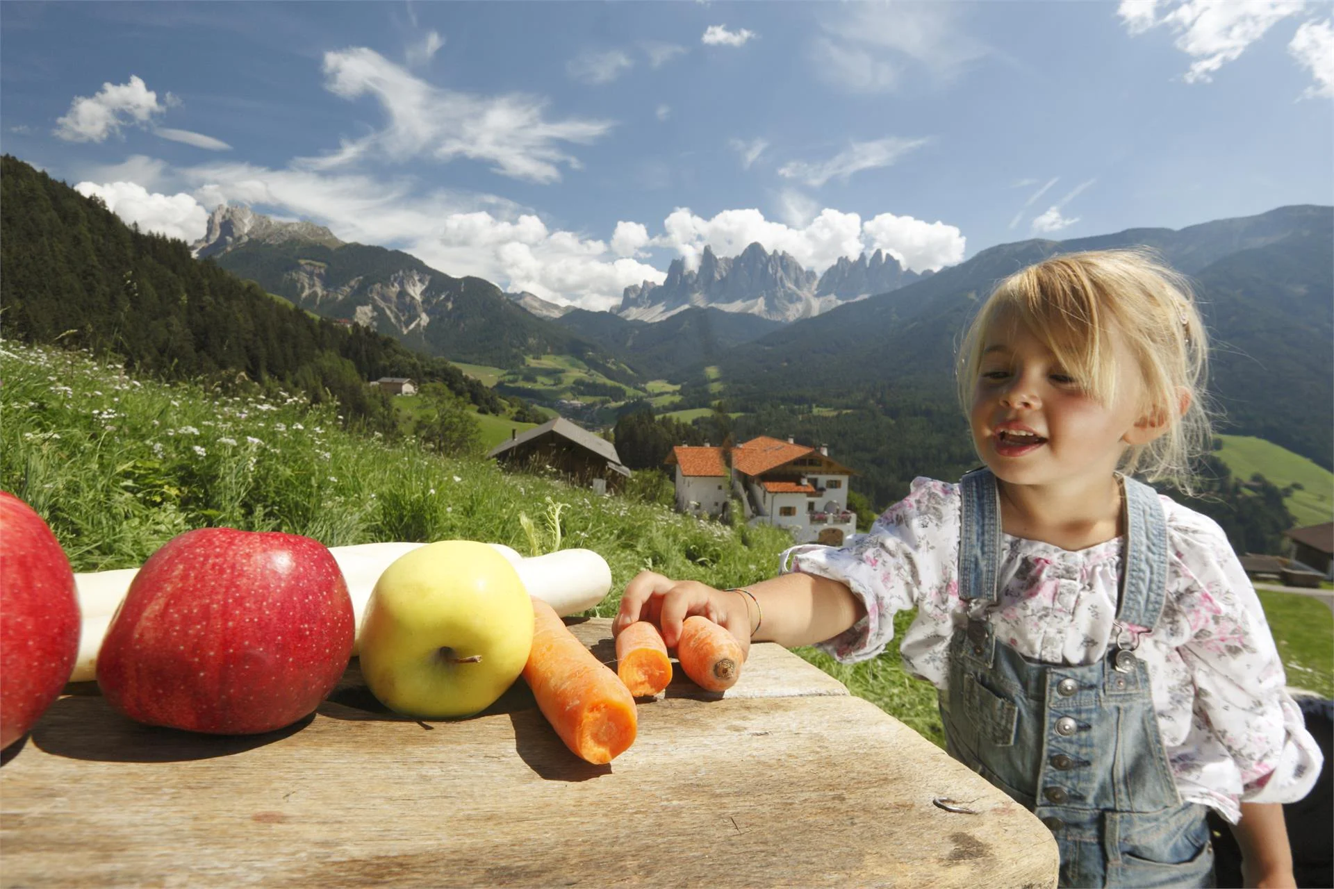 Vikolerhof Funes 9 suedtirol.info