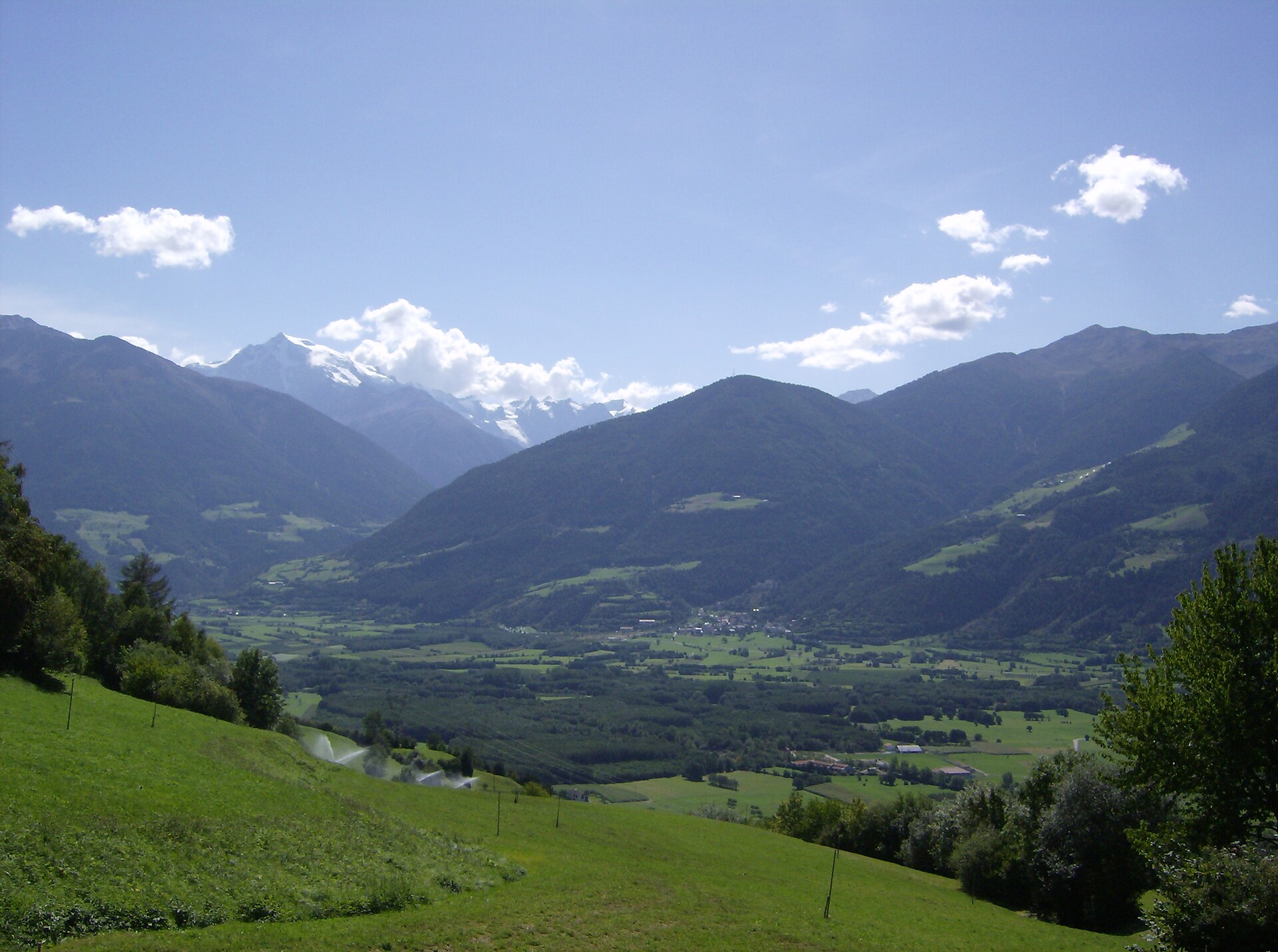 view