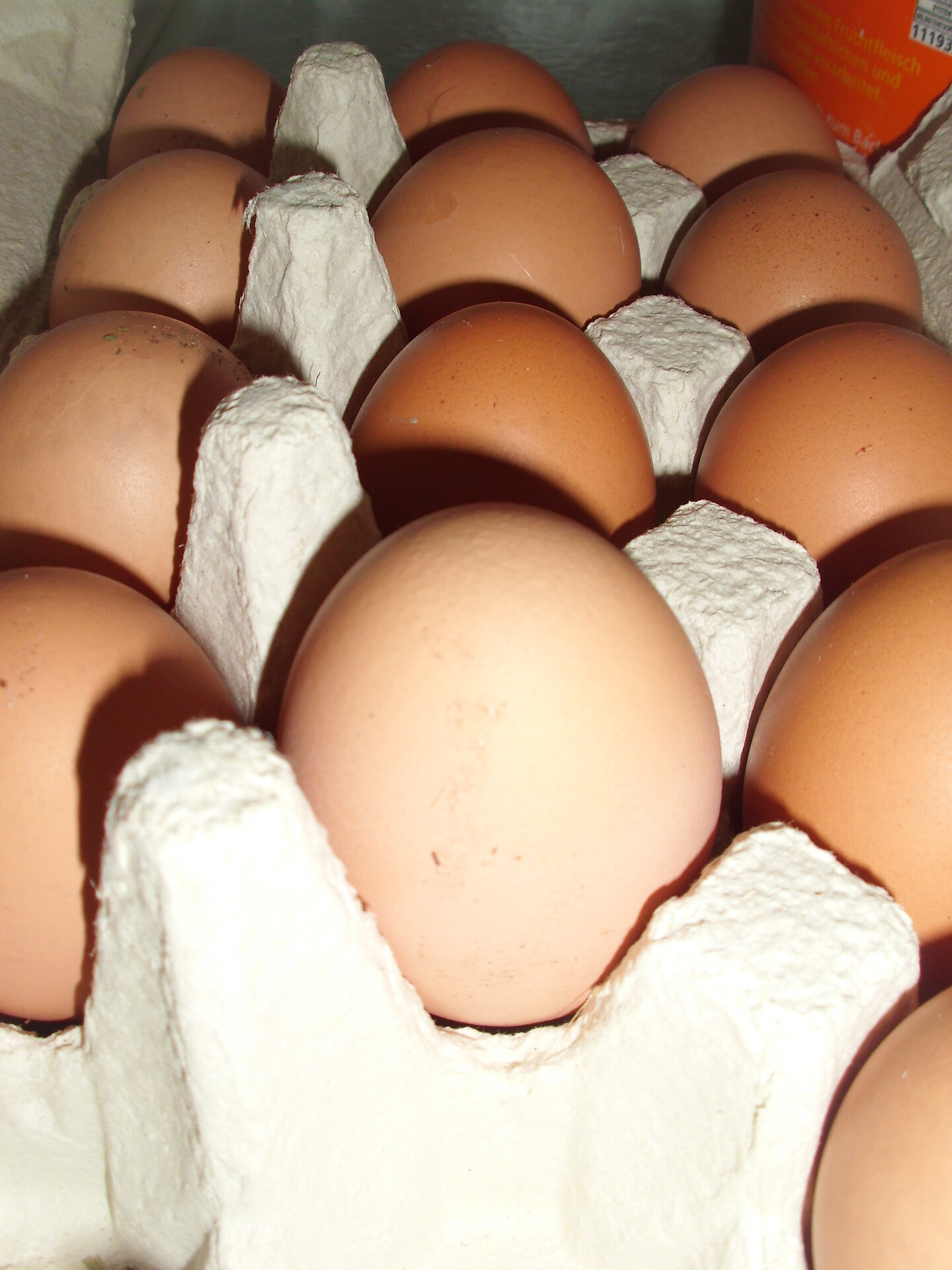 eggs