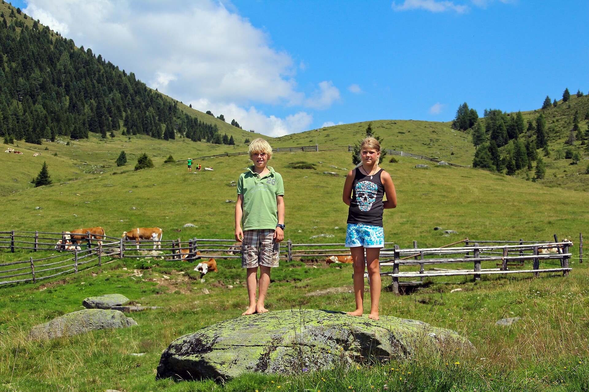 Malga Taistner Alm