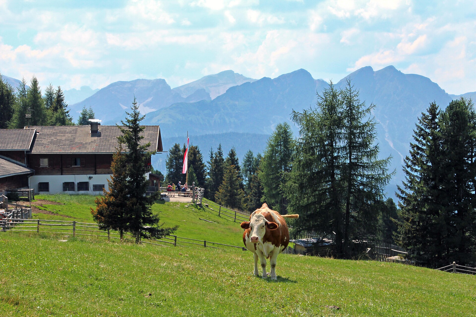 Malga Taistner Alm