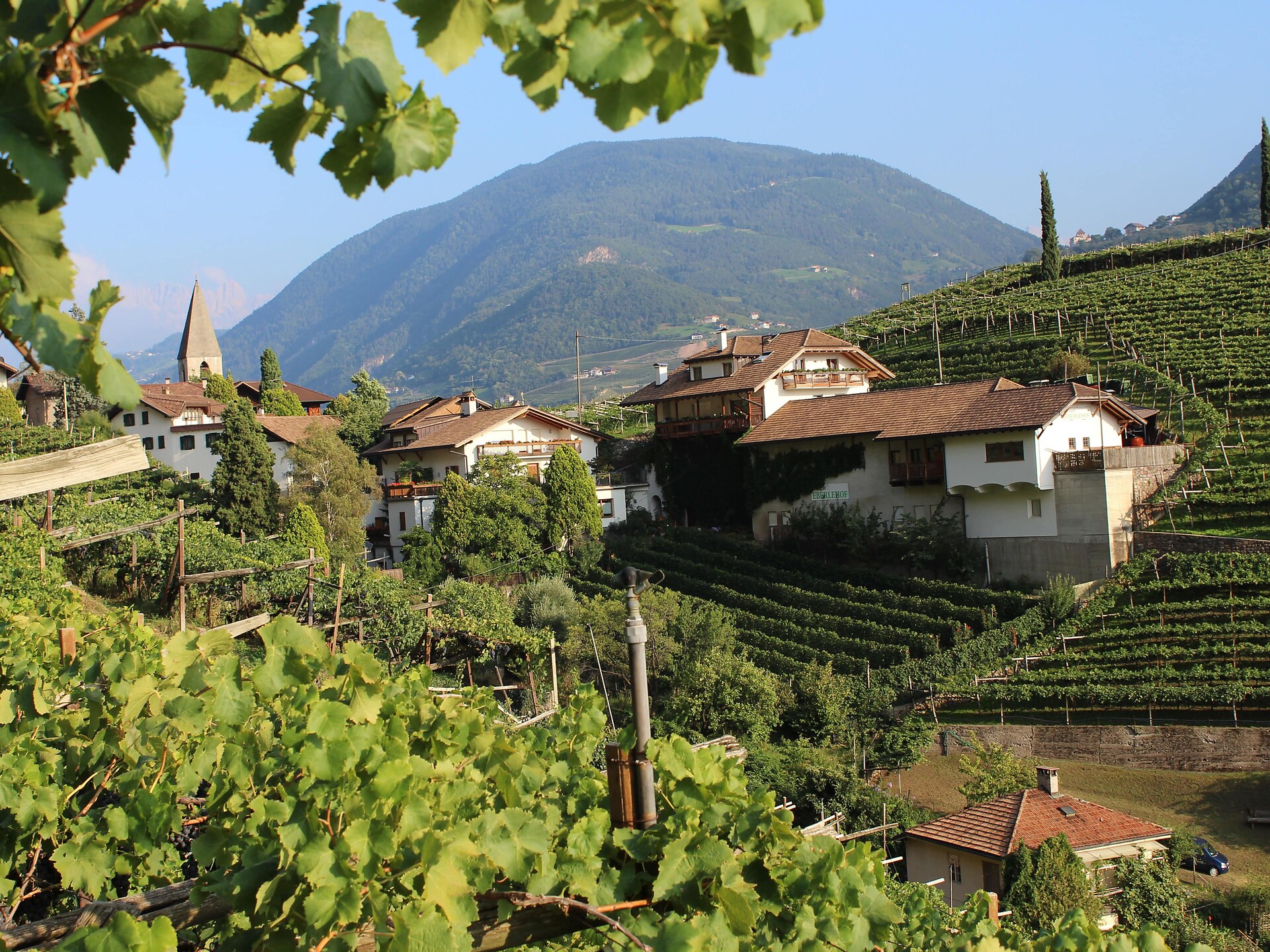 Weingut Eberlehof