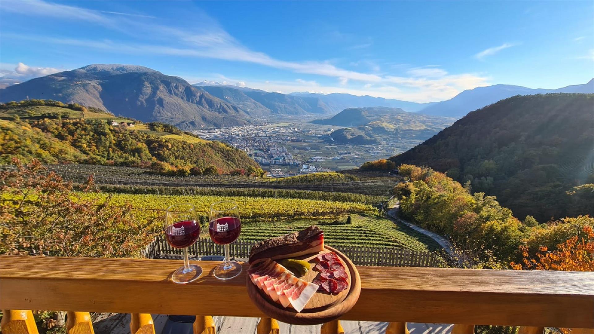 Weingartnerhof Jenesien 3 suedtirol.info