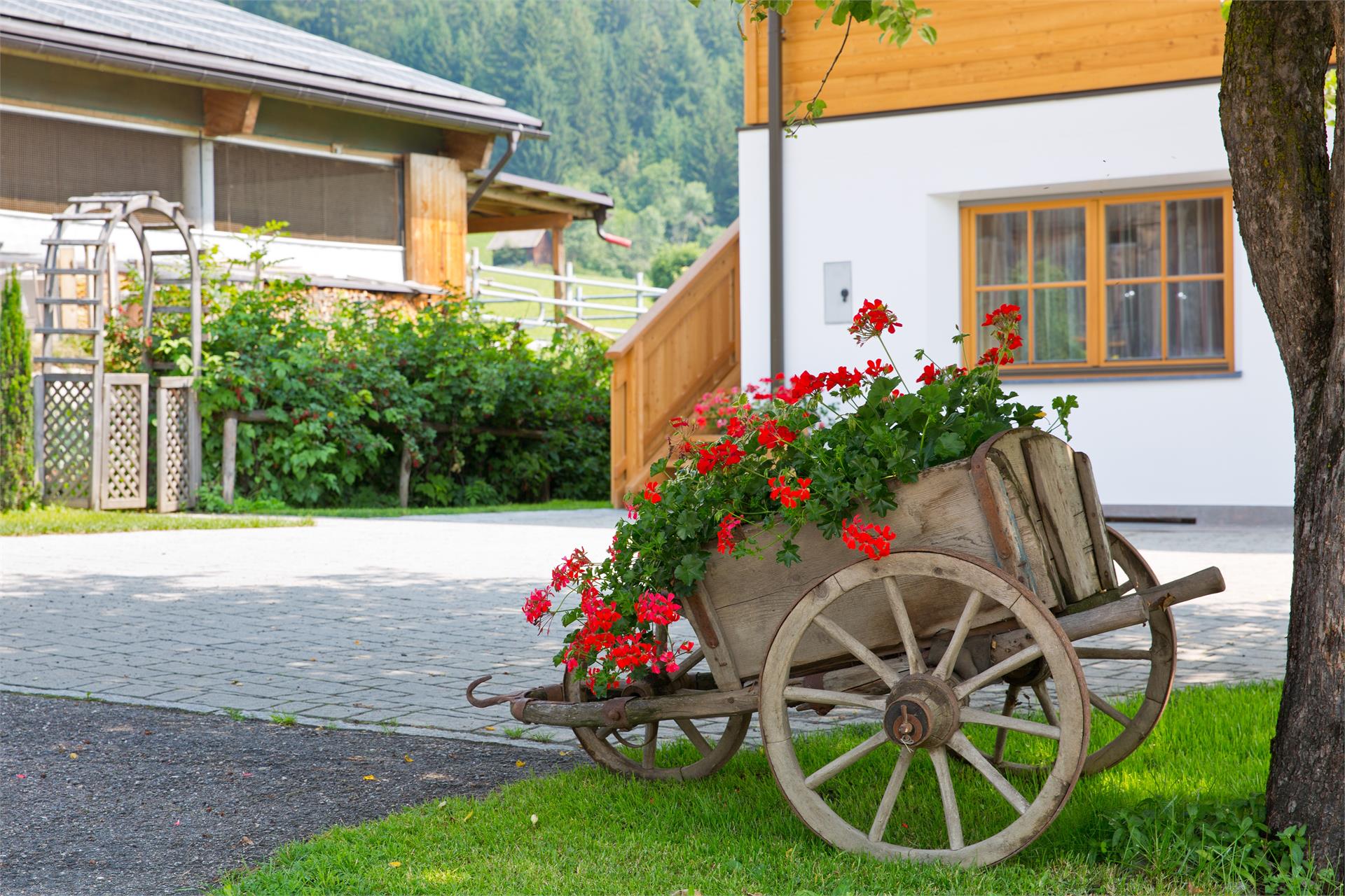 Wibmerhof Welsberg-Taisten 12 suedtirol.info