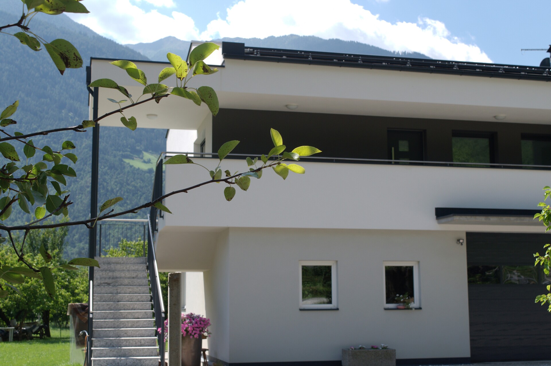 Neubau 2024 Wiesenblick
