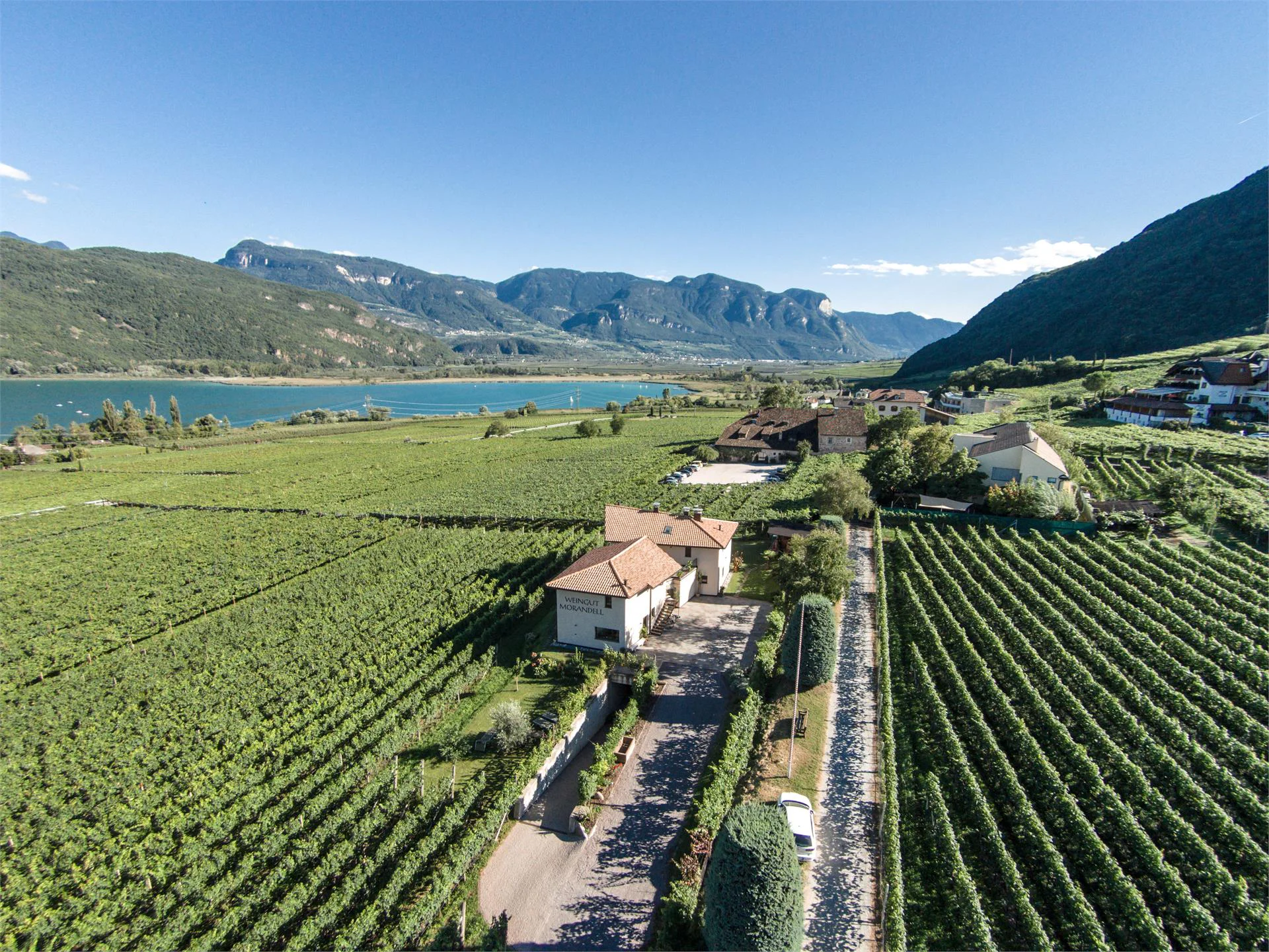 Weingut Morandell Caldaro sulla Strada del Vino 2 suedtirol.info