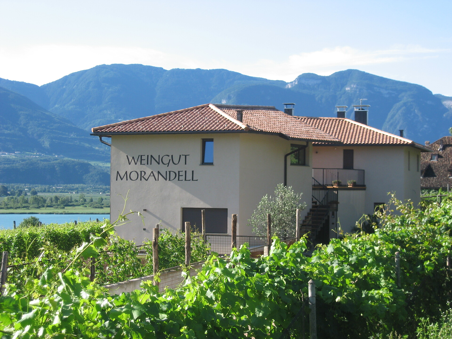 Weingut Morandell Kaltern an der Weinstraße 1 suedtirol.info