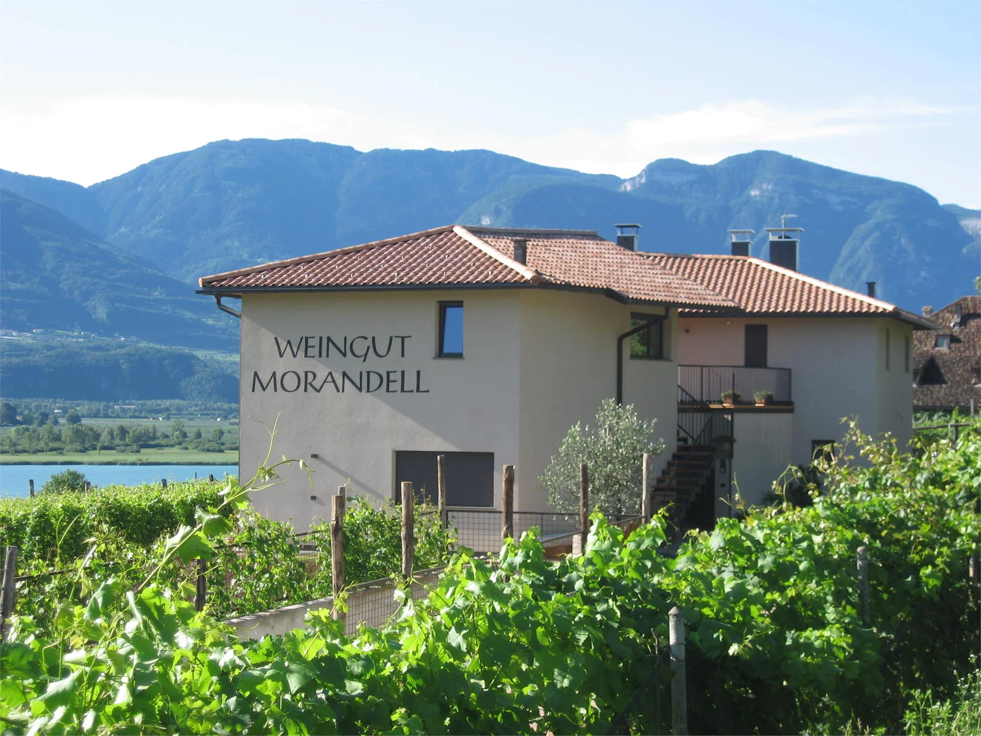 Weingut Morandell Caldaro sulla Strada del Vino 1 suedtirol.info