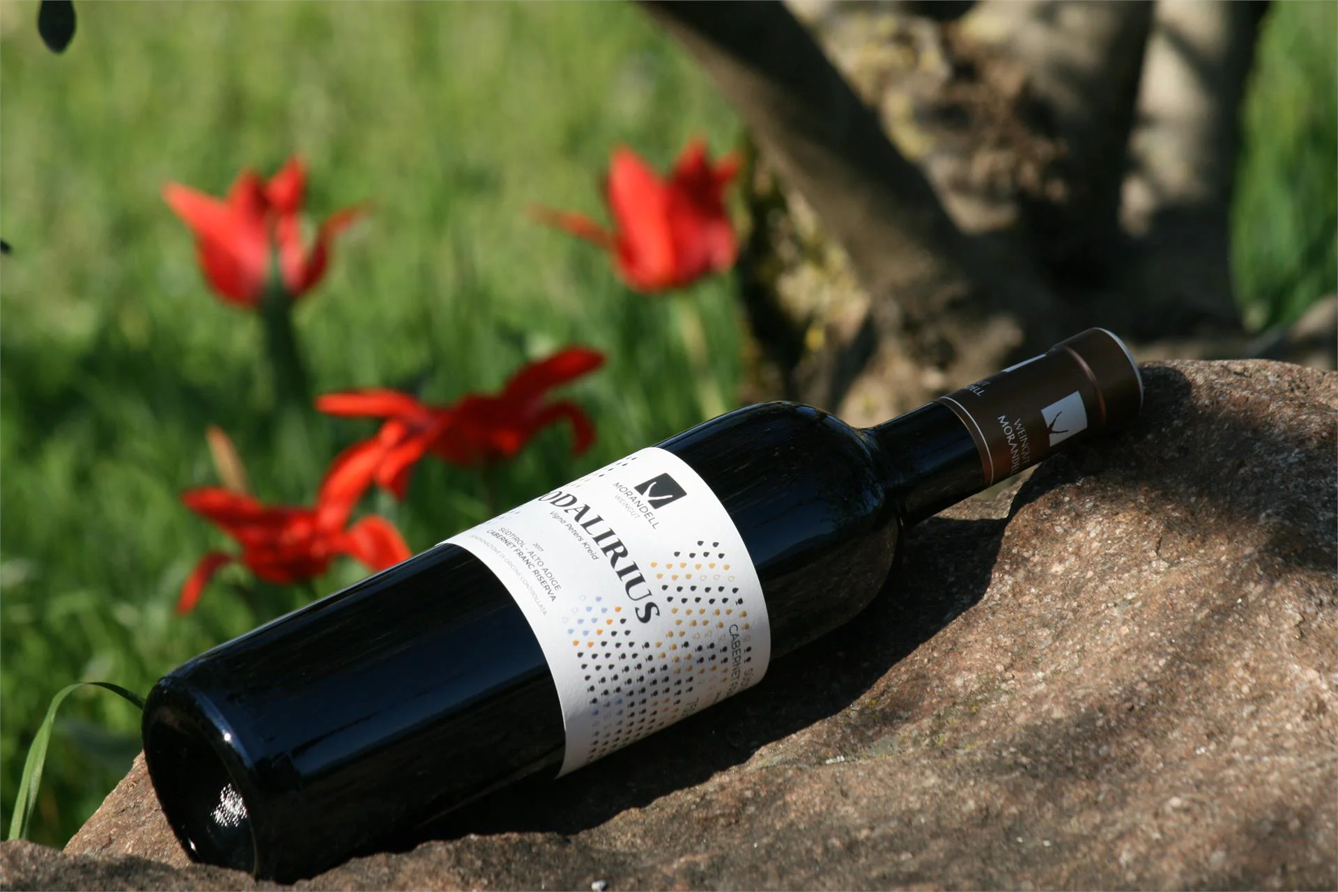Weingut Morandell Caldaro sulla Strada del Vino 14 suedtirol.info