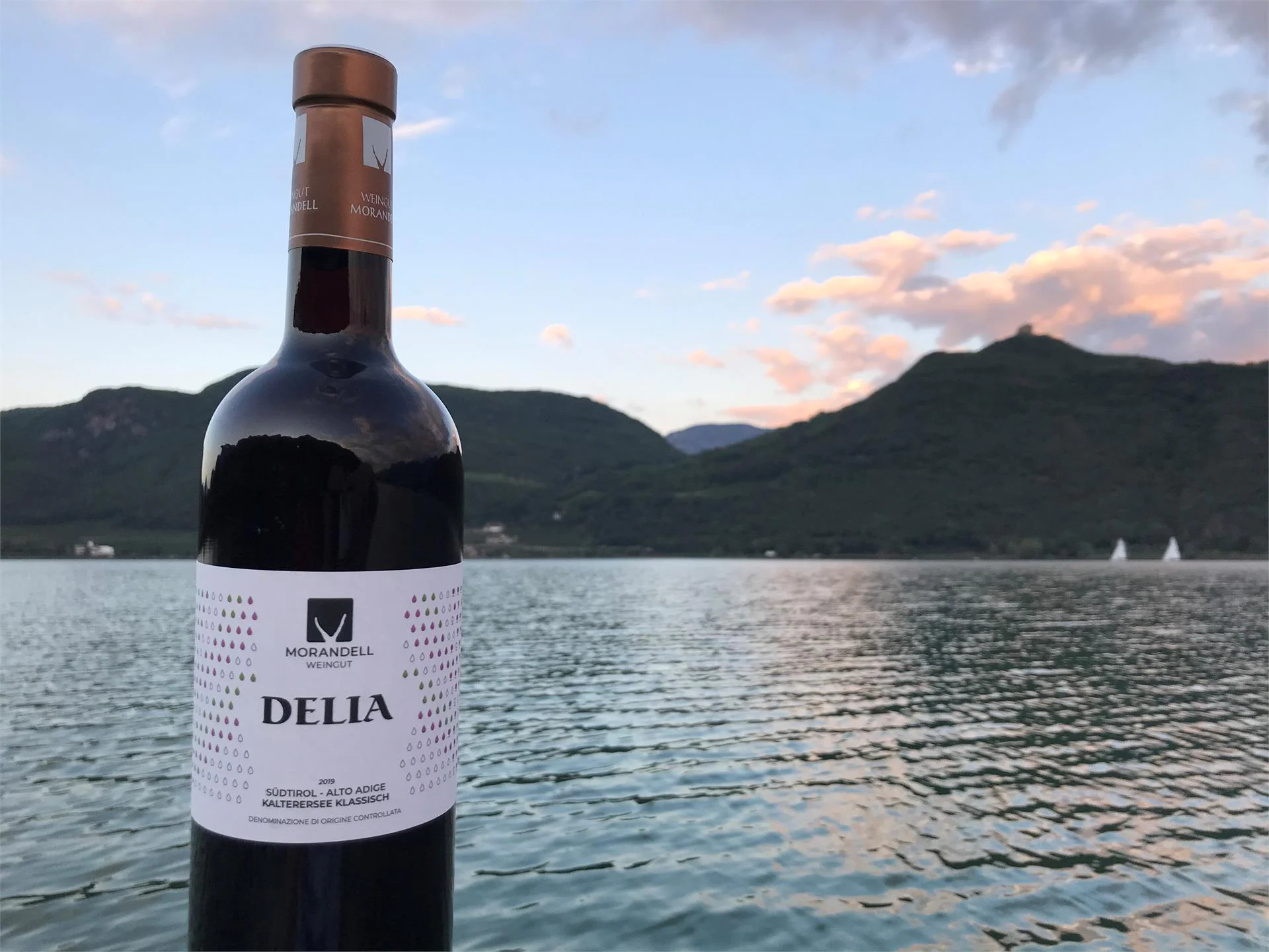 Weingut Morandell Caldaro sulla Strada del Vino 12 suedtirol.info
