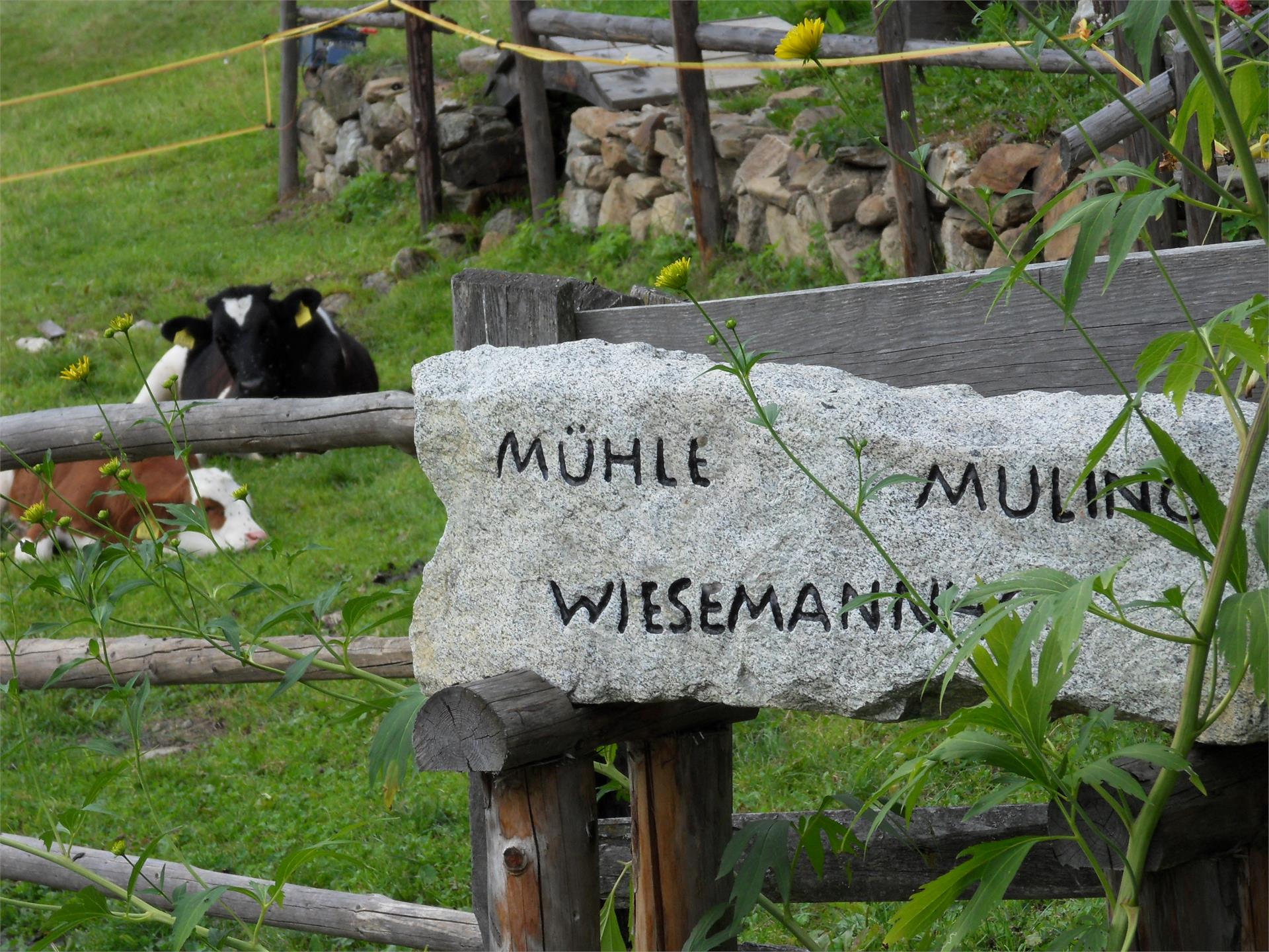 Wieseman Bio Bauernhof Rasun Anterselva 2 suedtirol.info