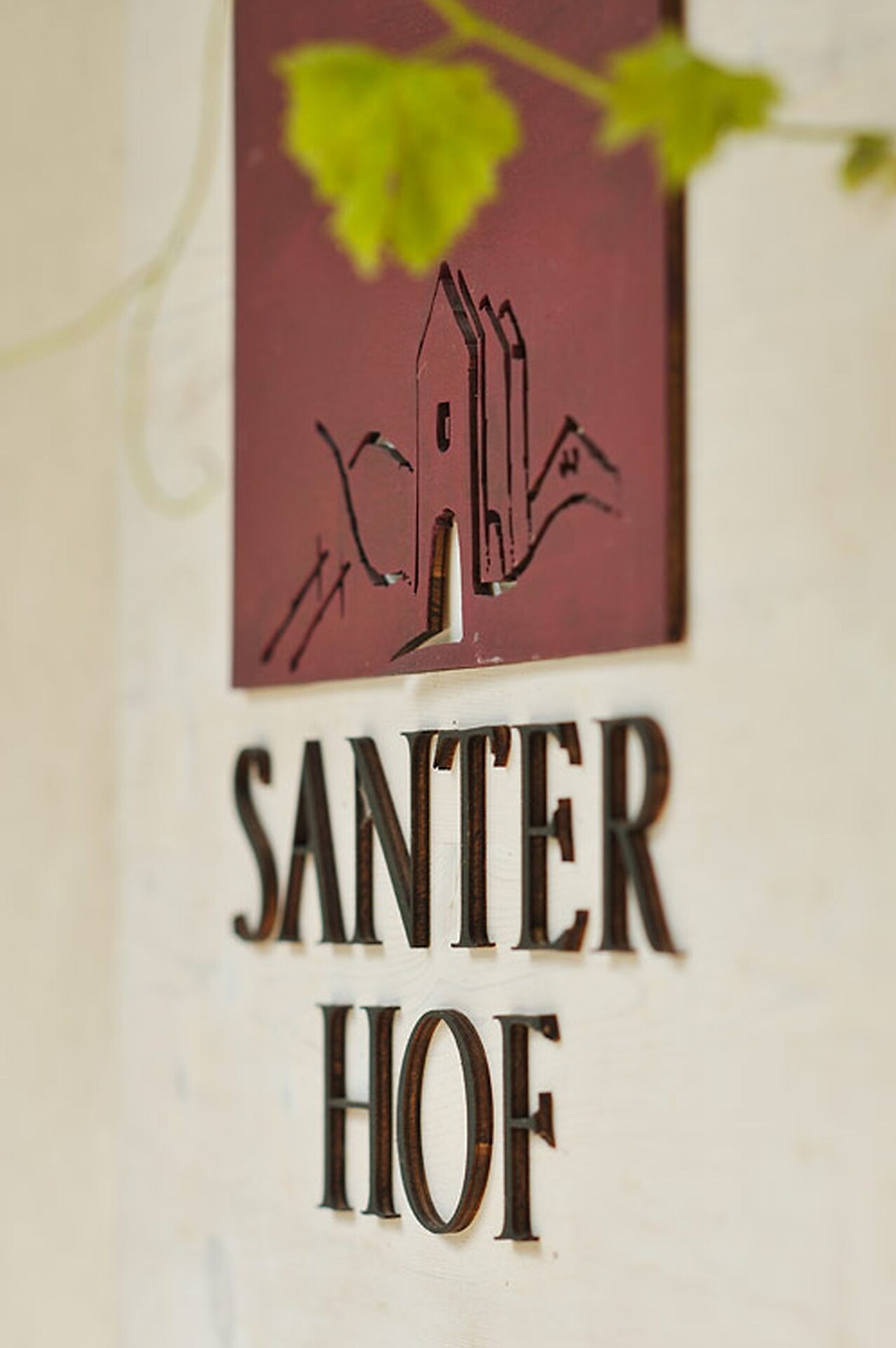 Winery Santer - Brixen/Bressanone and environs - #18 - suedtirol.info