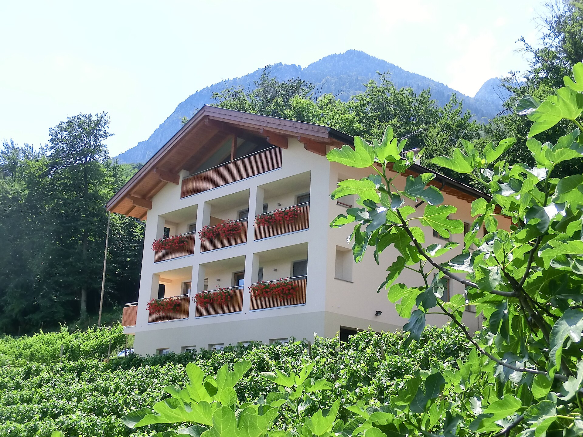 Wolfsgrubenhof - Alto Adige Wine Road - #1 - suedtirol.info