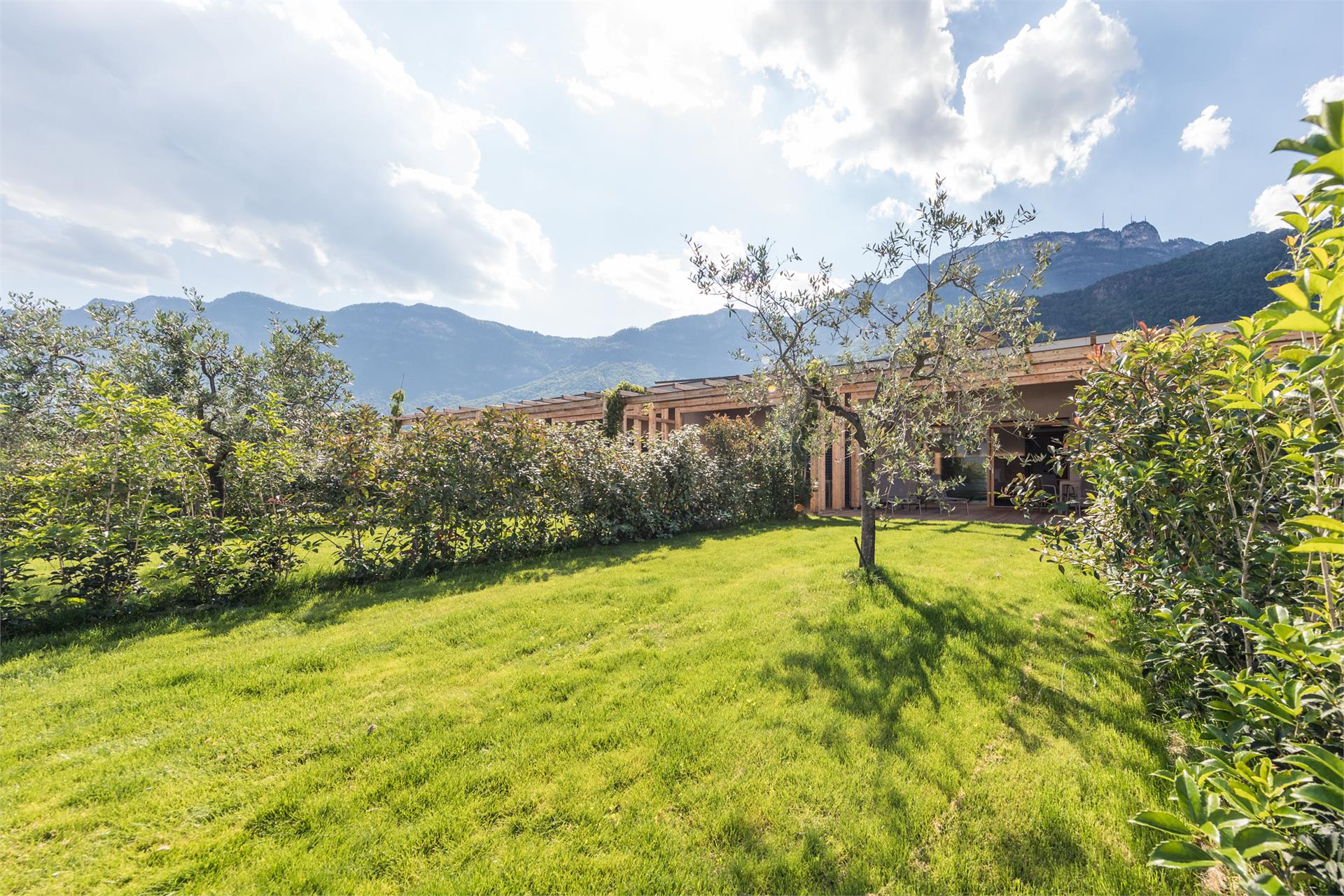 Weingut Moser Apartments Kaltern an der Weinstraße/Caldaro sulla Strada del Vino 15 suedtirol.info