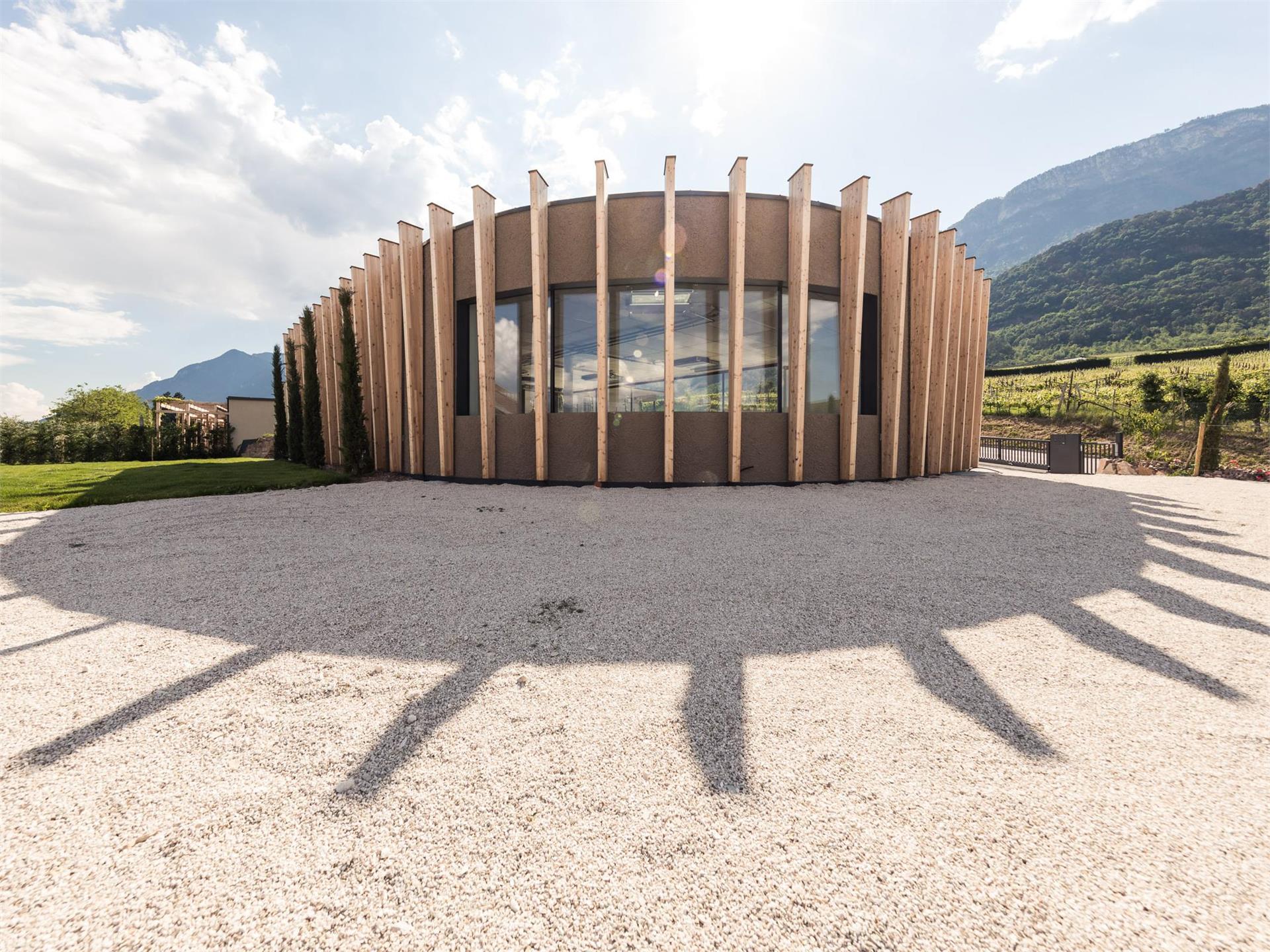 Weingut Moser Apartments Kaltern an der Weinstraße/Caldaro sulla Strada del Vino 1 suedtirol.info