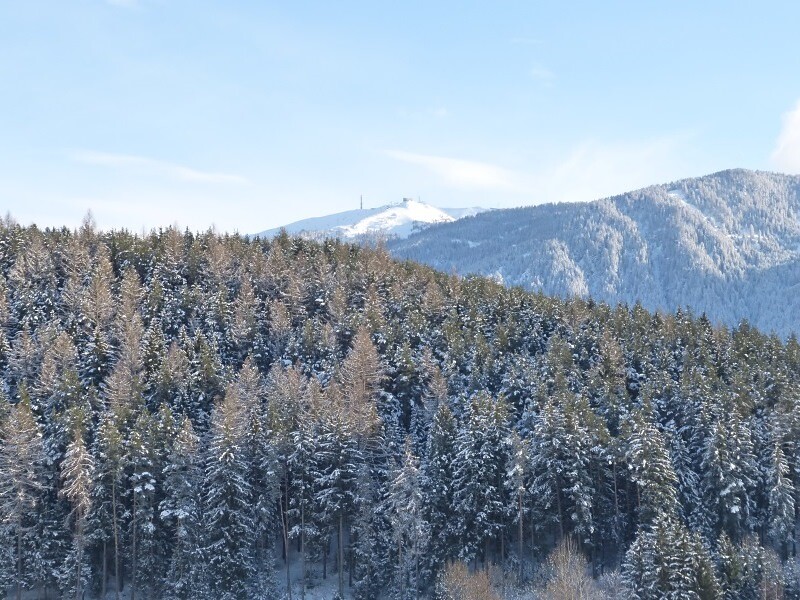 Wastlmoar - Regione dolomitica Plan de Corones - #12 - suedtirol.info