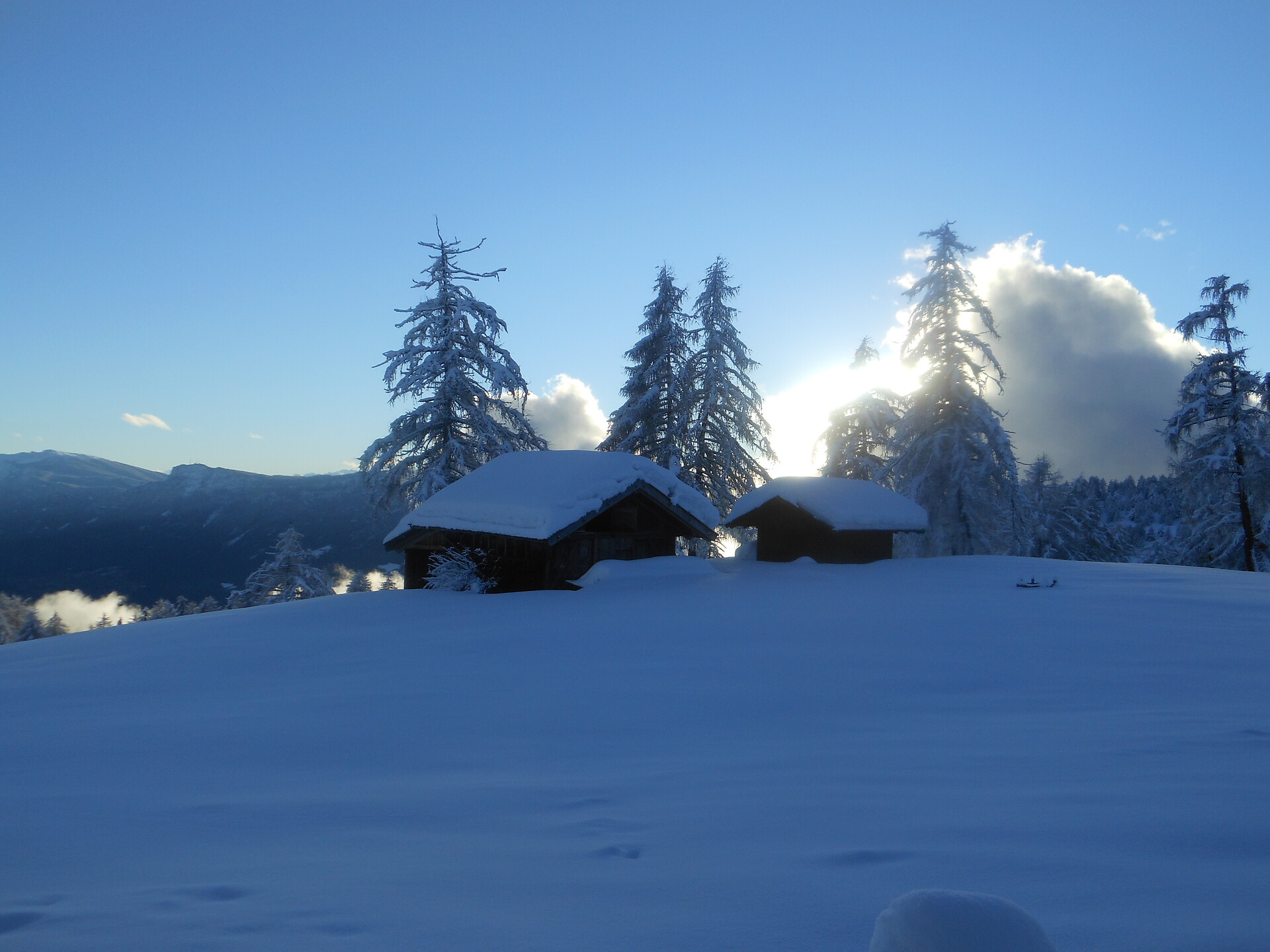Winter