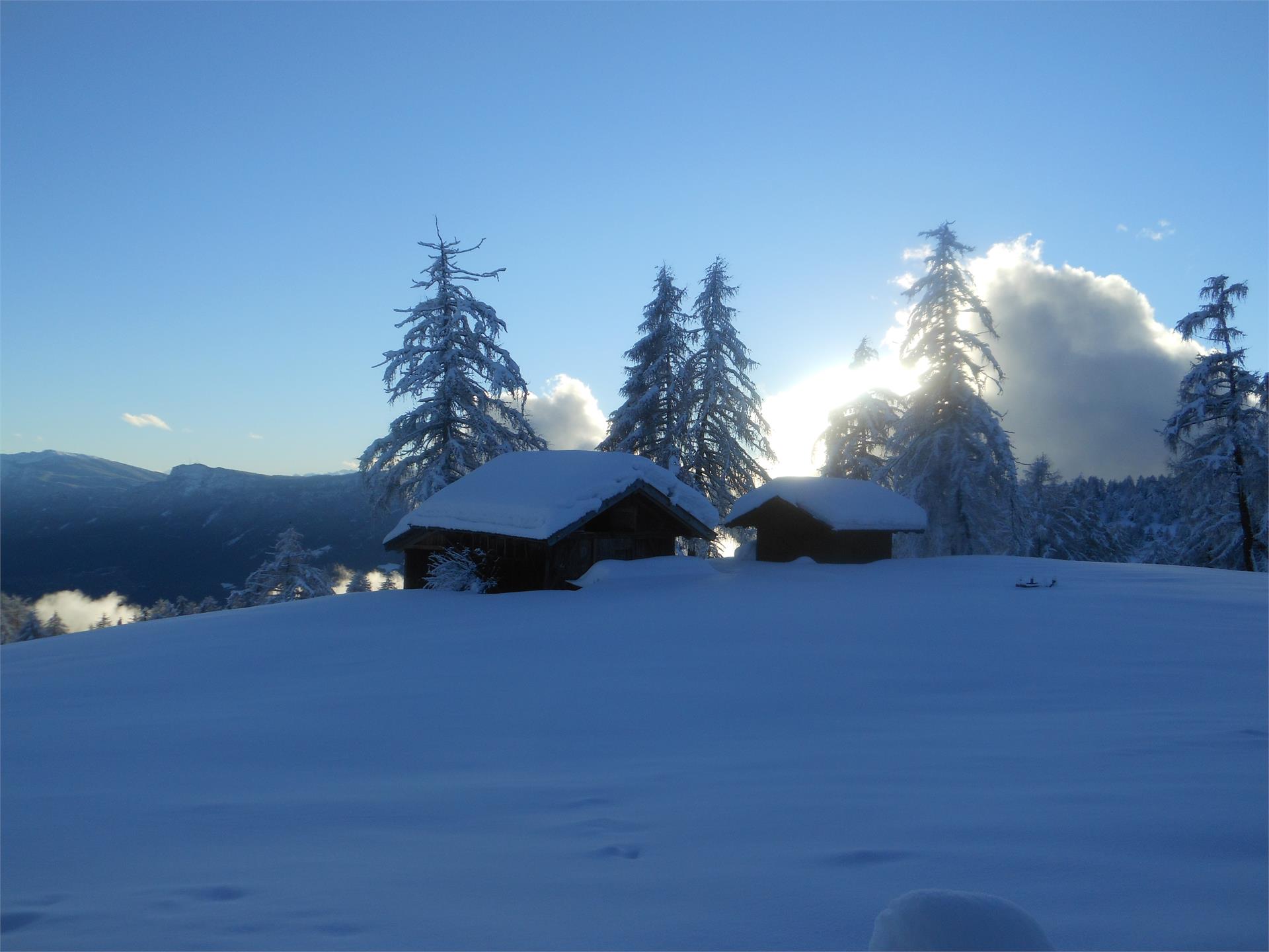 Wernerhof San Genesio Atesino 19 suedtirol.info