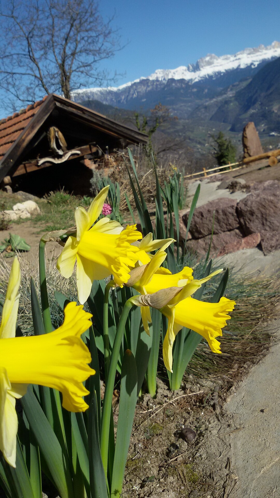 Frühling