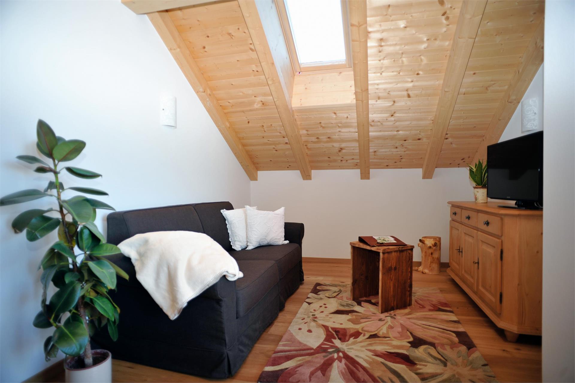 Wernerhof San Genesio Atesino 5 suedtirol.info