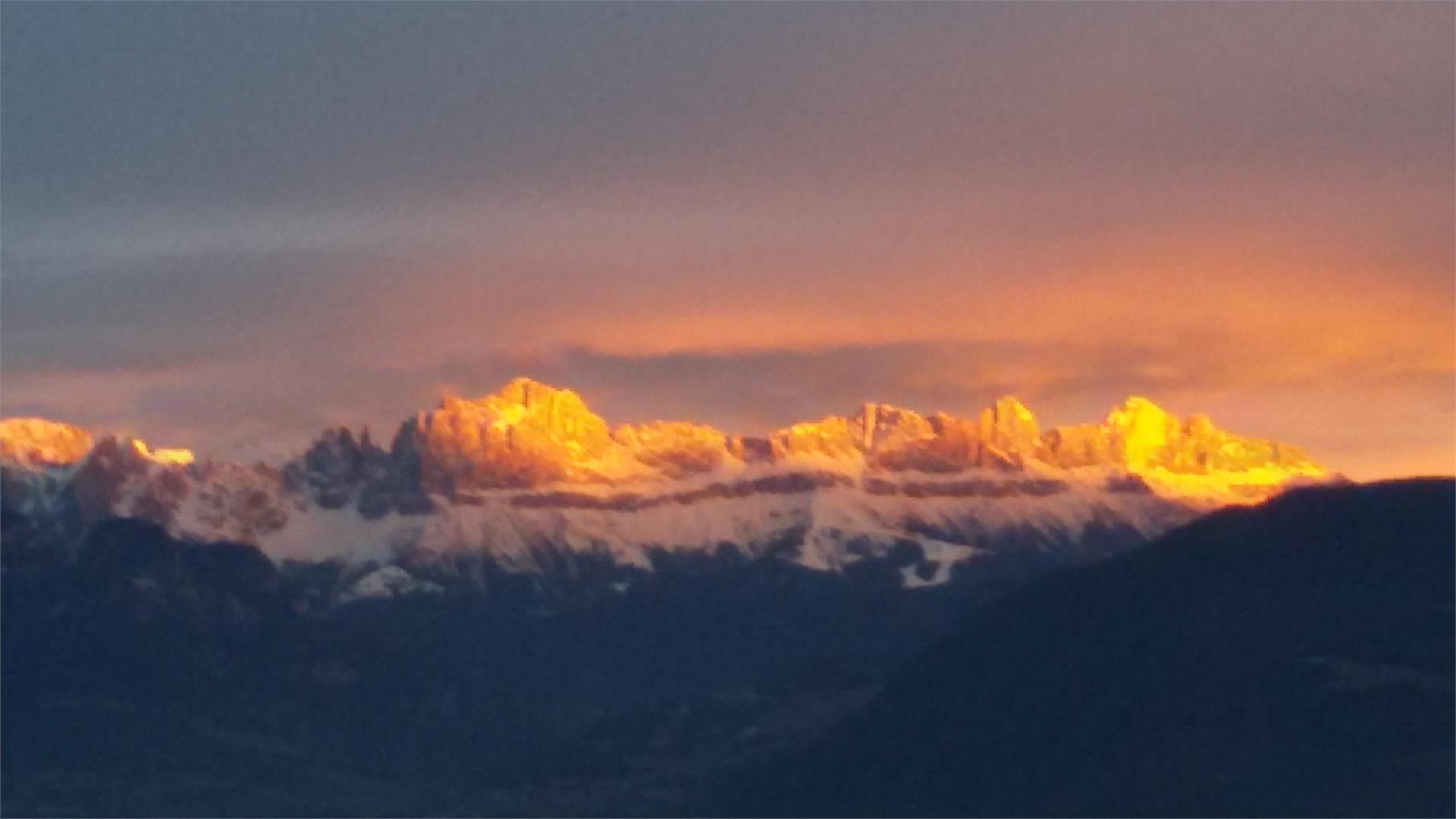 Wernerhof San Genesio Atesino 13 suedtirol.info