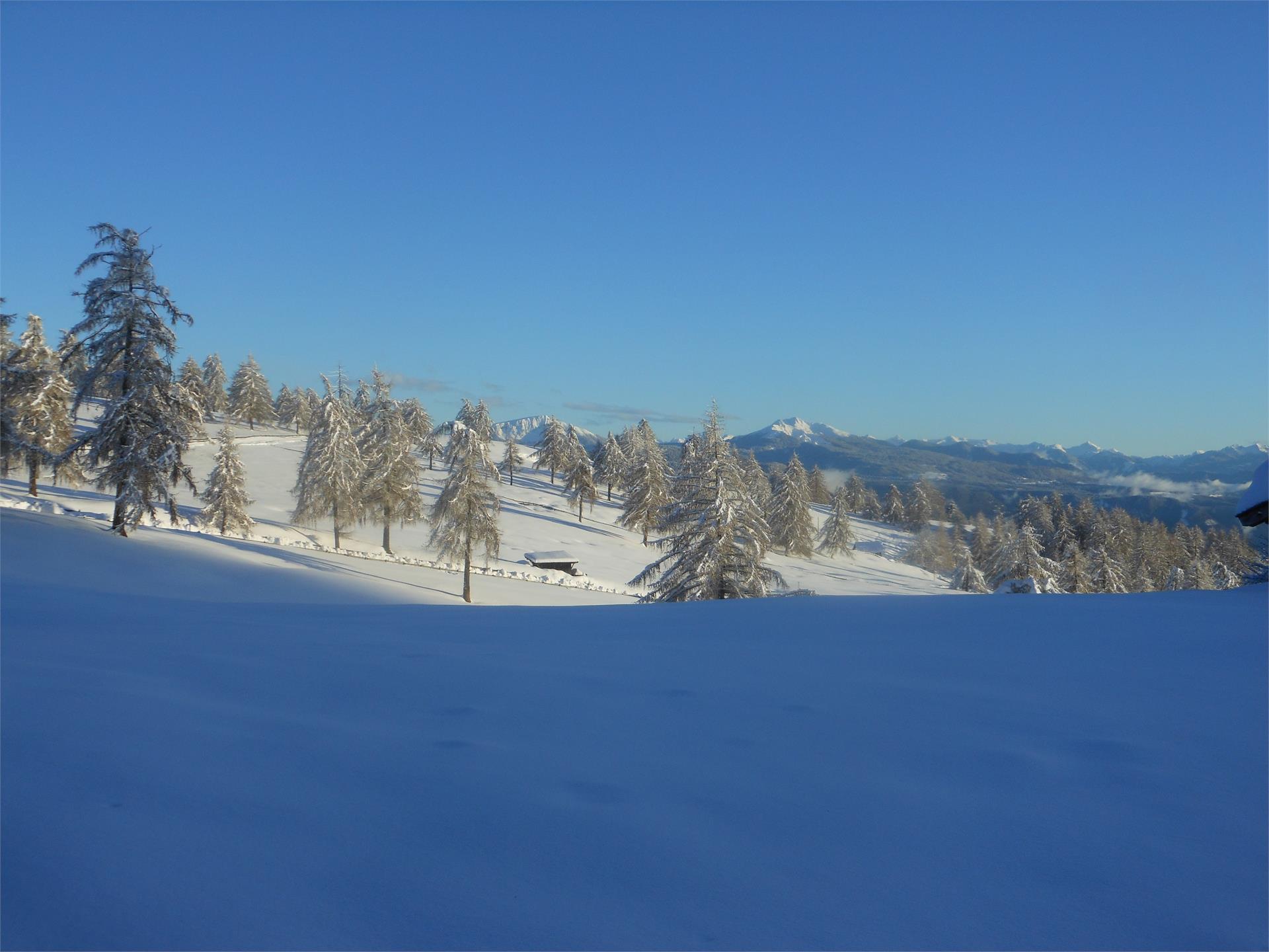 Wernerhof San Genesio Atesino 20 suedtirol.info