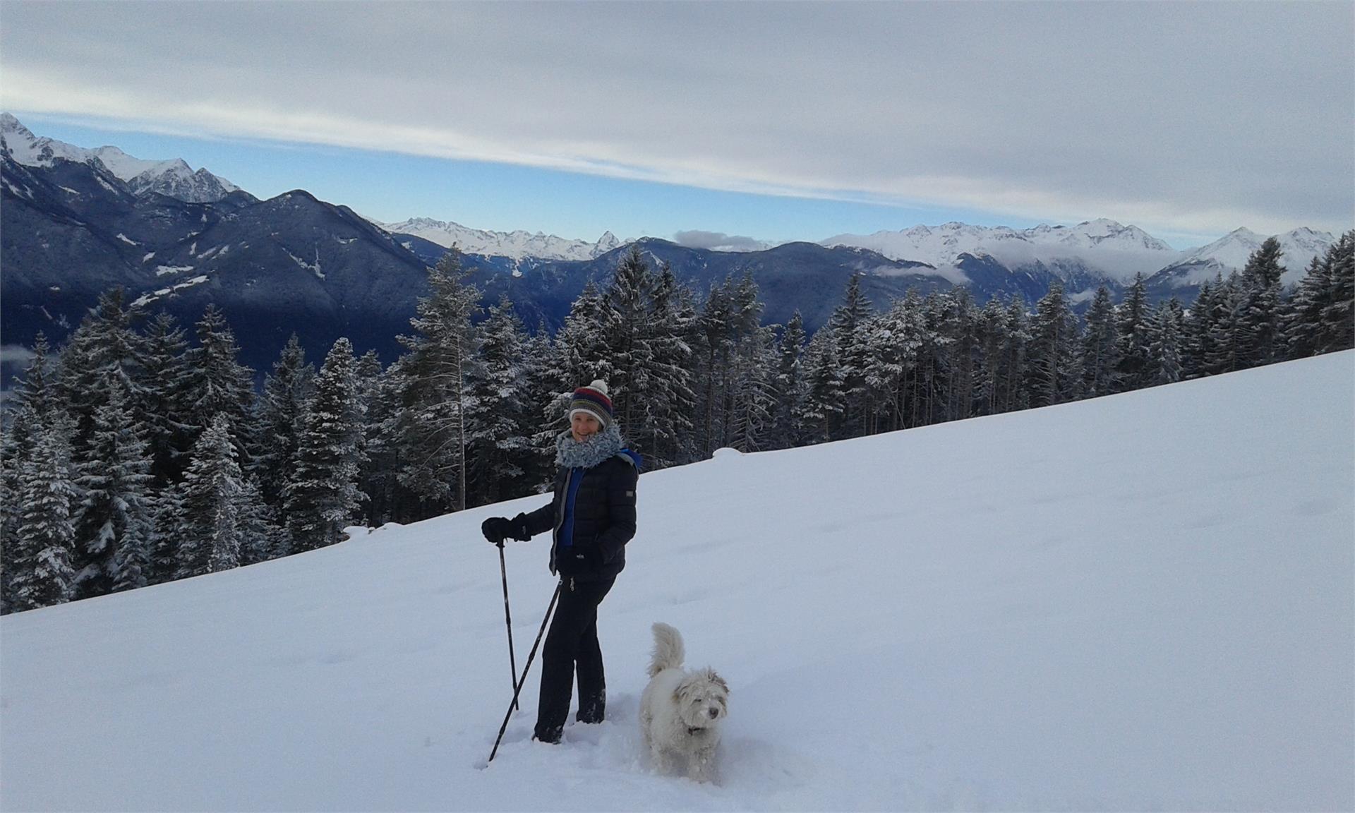 Widmannhof Brixen/Bressanone 8 suedtirol.info