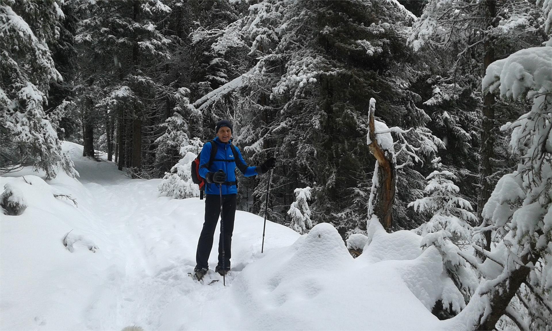 Widmannhof Brixen/Bressanone 4 suedtirol.info